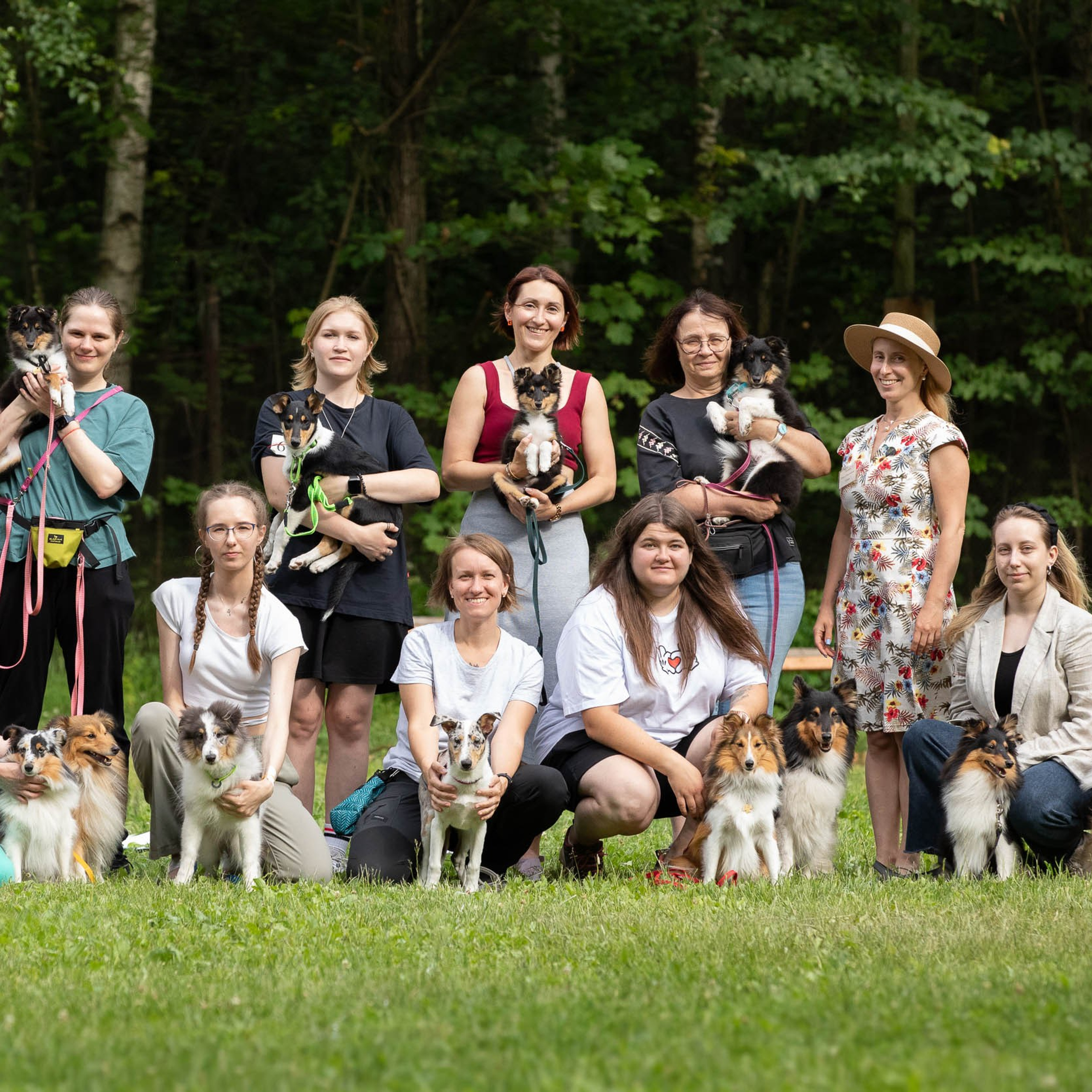 Репортаж с выводки молодняка колли/шелти