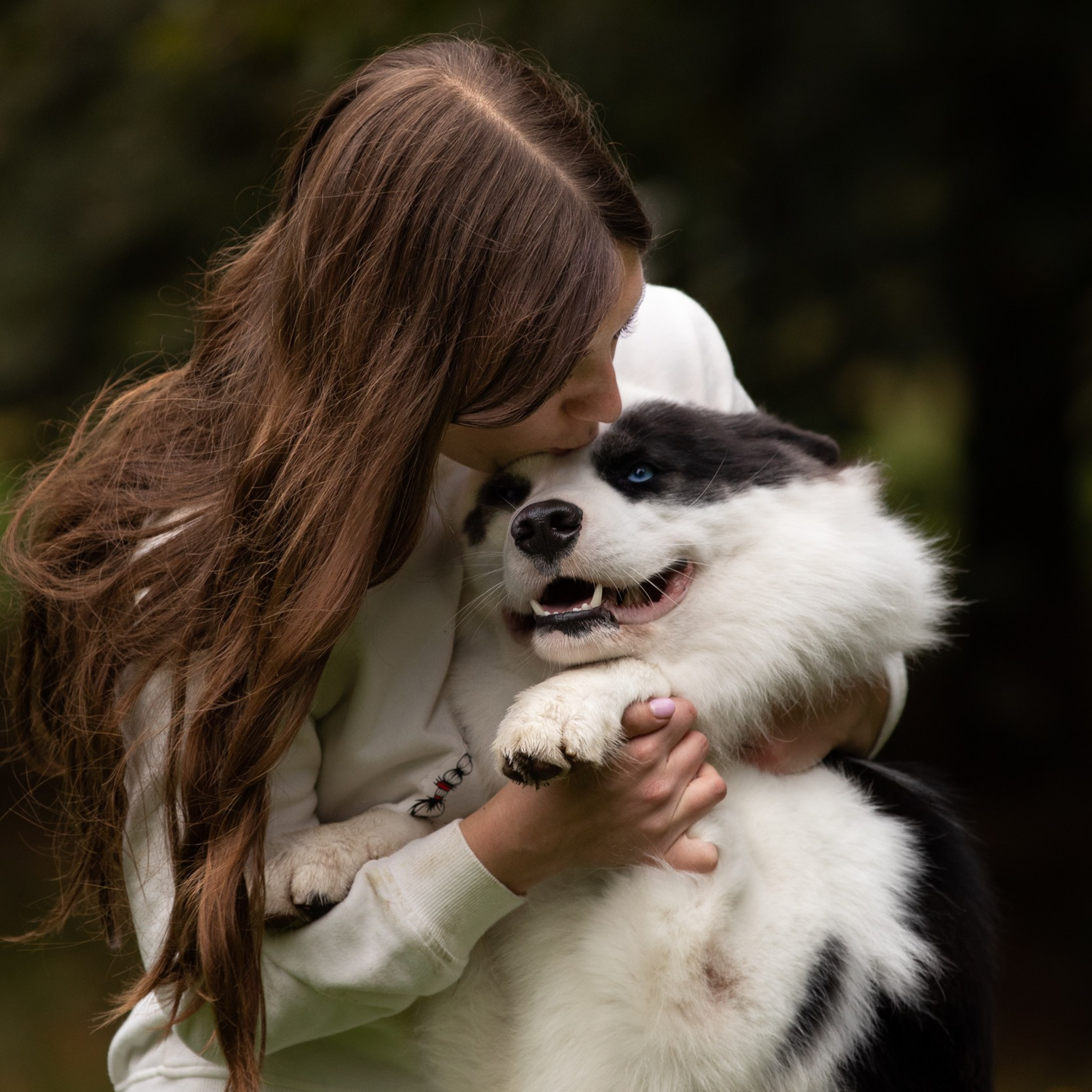 Быстрая фотосессия после выставки для Марины и Якутской лайки Пончика