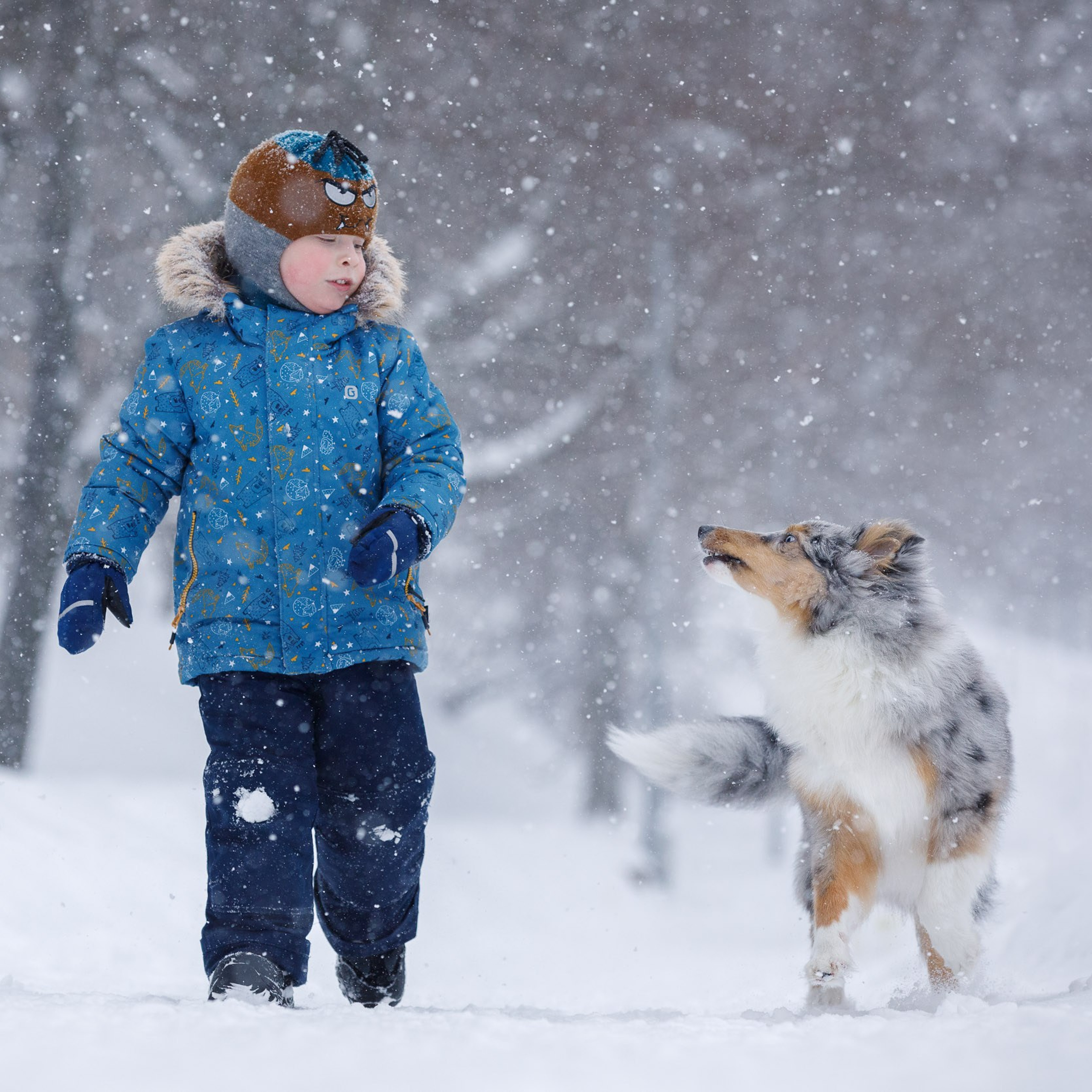 Фотосет для ребенка и шелтёнка в метель