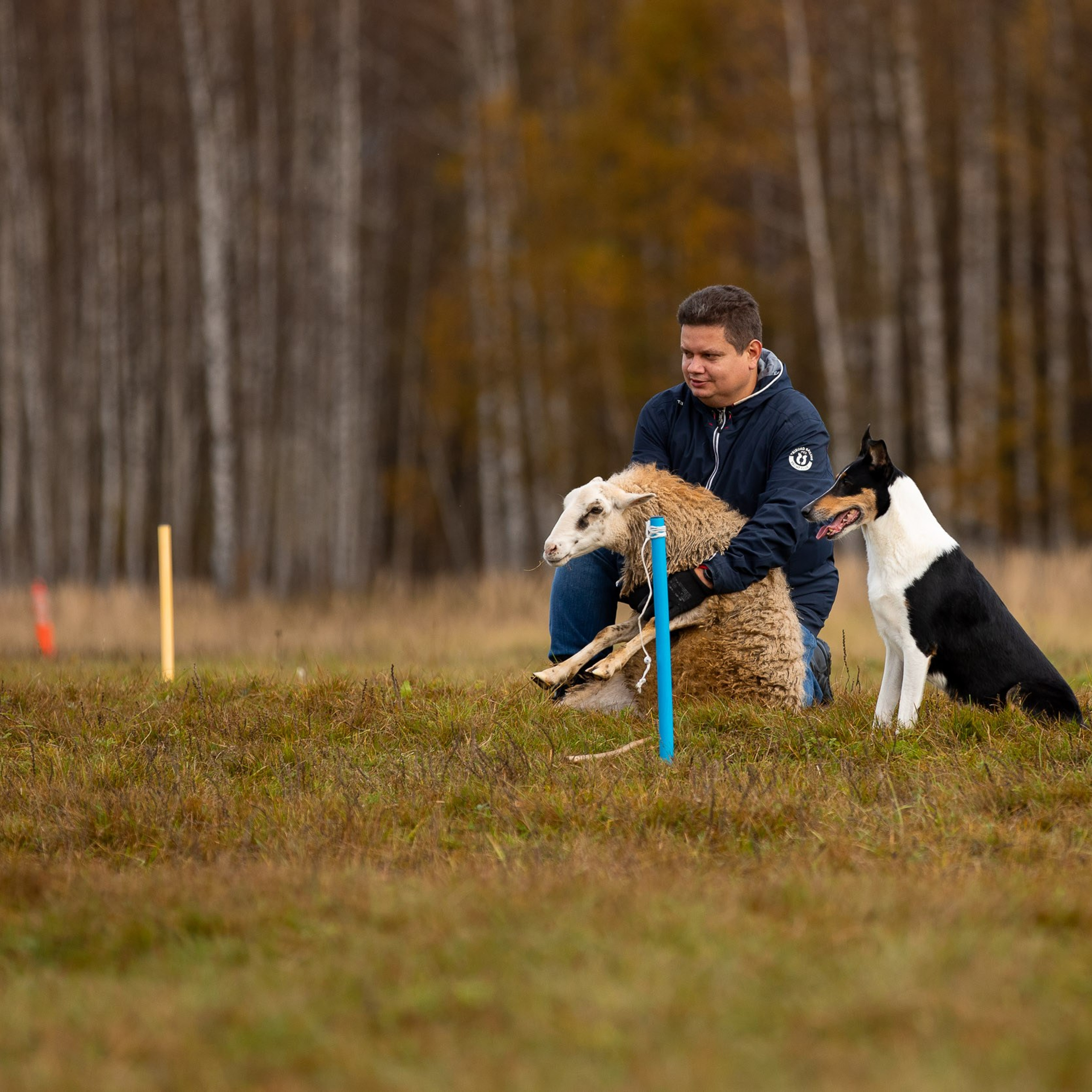 Показательное выступление по пастушьей службе кшк Плюша и Михаил