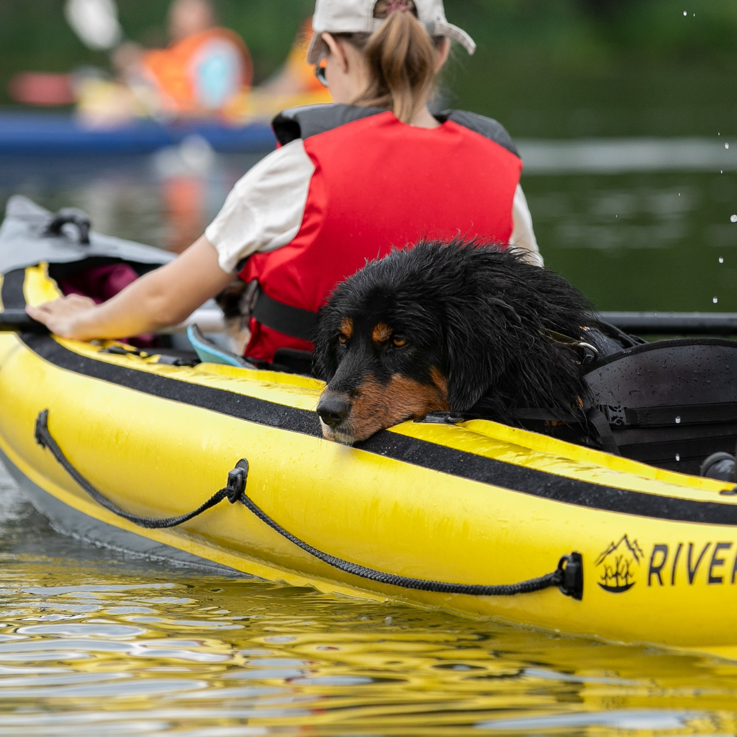 Сплав на байдарках вместе с собаками