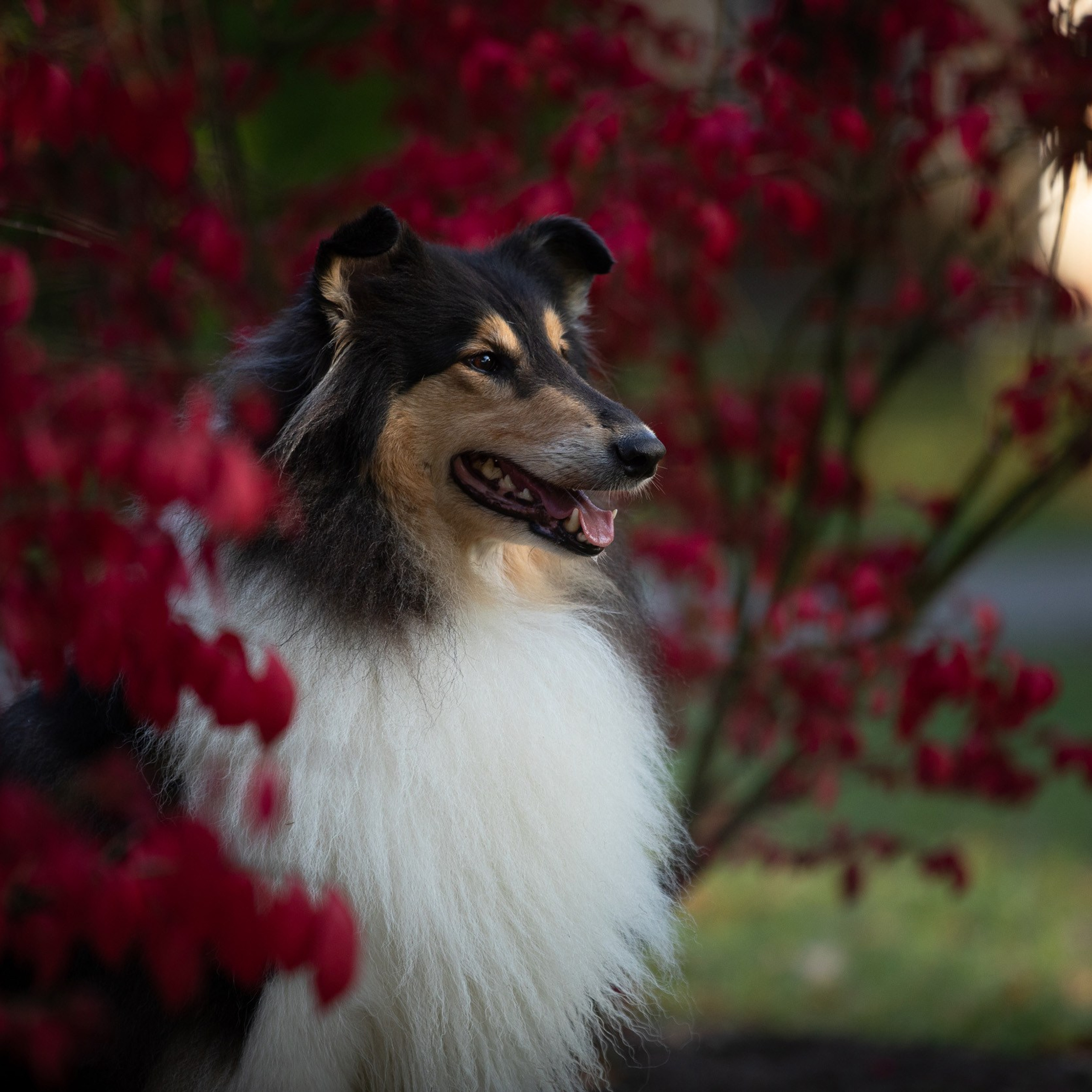 Съёмка для Темзин на ВДНХ на рассвете