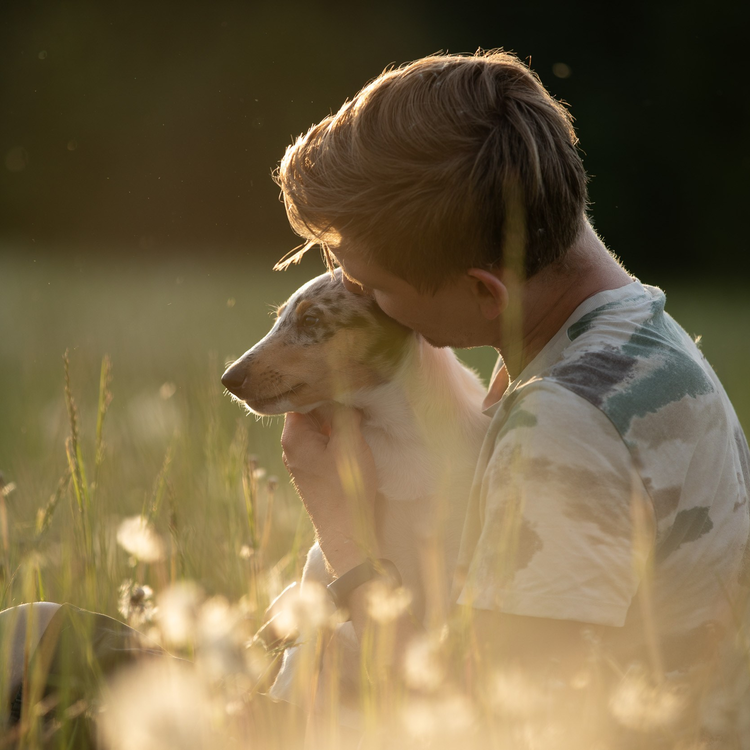 Сольвейг и одуванчики