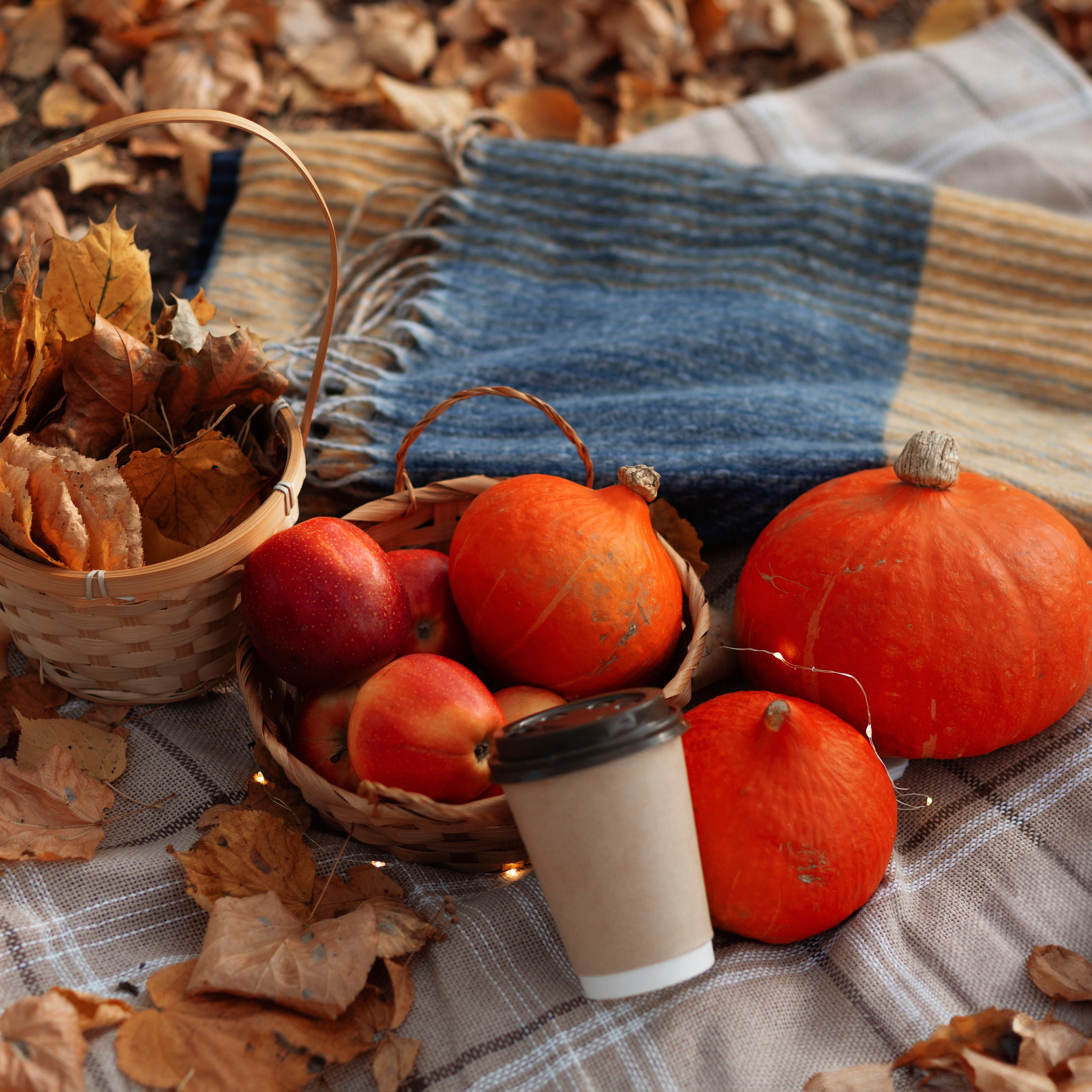 Отзывы. Семейный фотограф Татьяна Скрипка