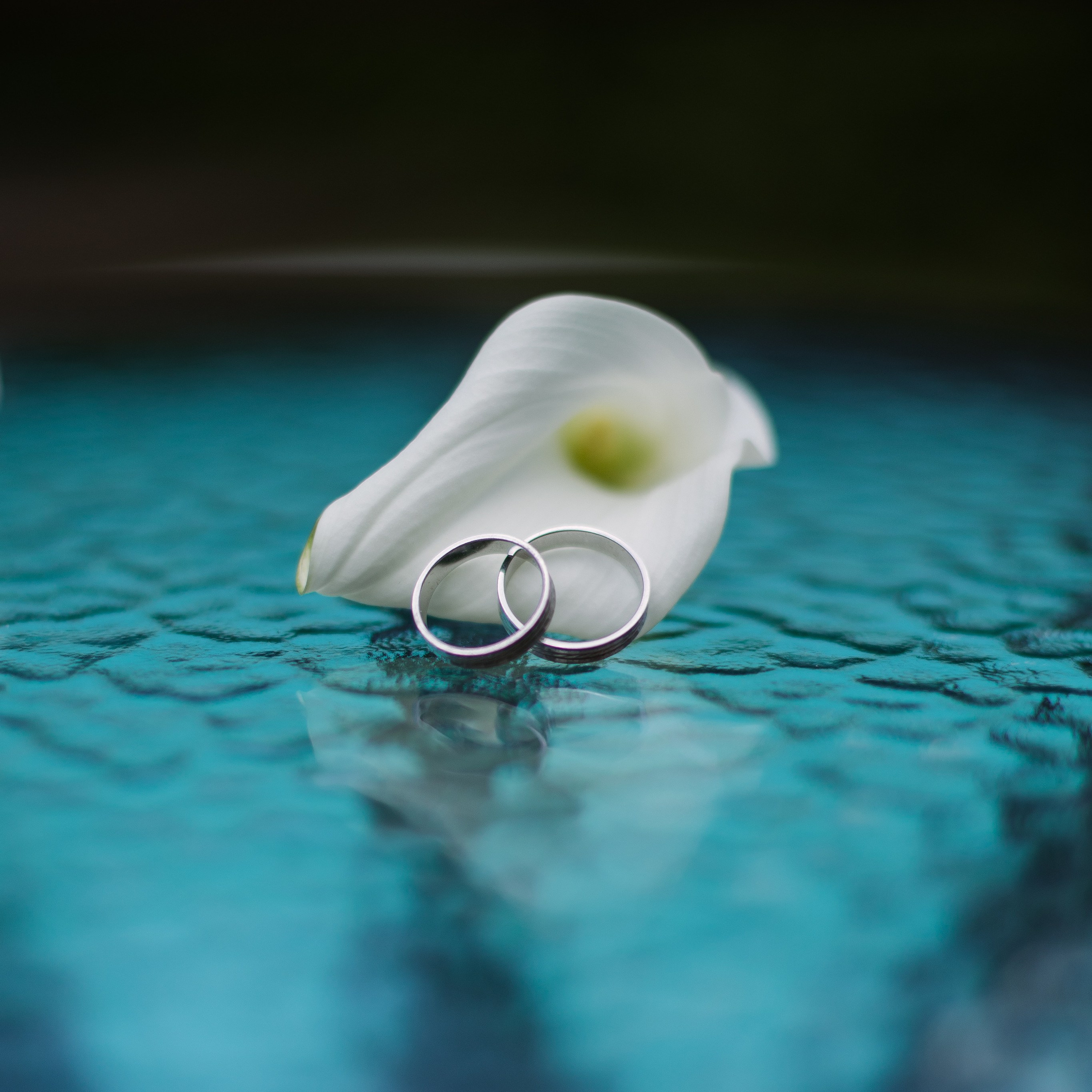 Отзывы. Свадебный и портретный фотограф в Минске и по всему миру Ольга Нестер