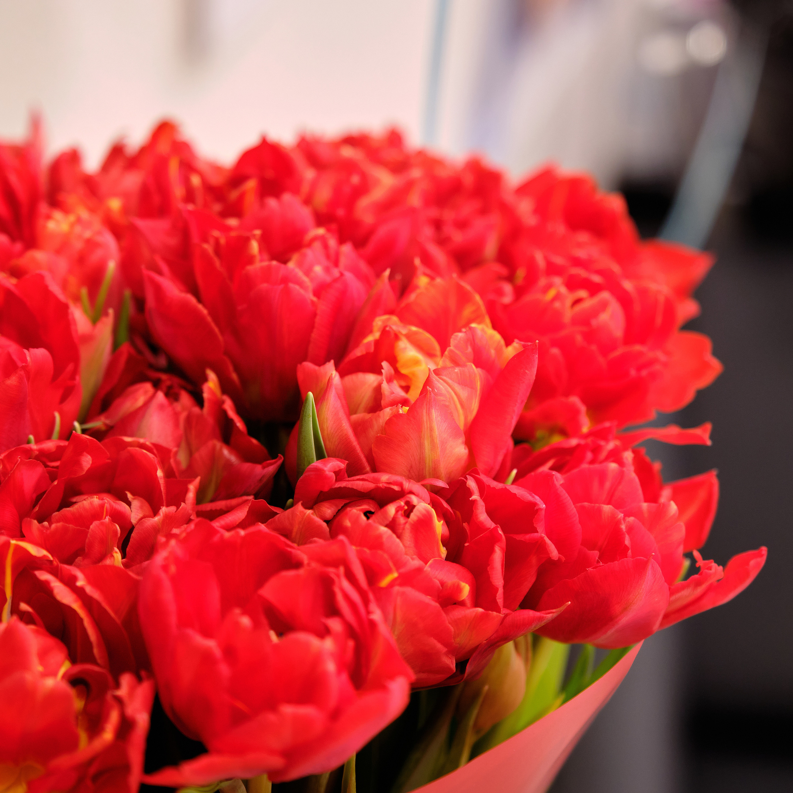 Отзывы о моей работе. Свадебный и семейный фотограф Москва, Звенигород, Одинцово, Можайск,