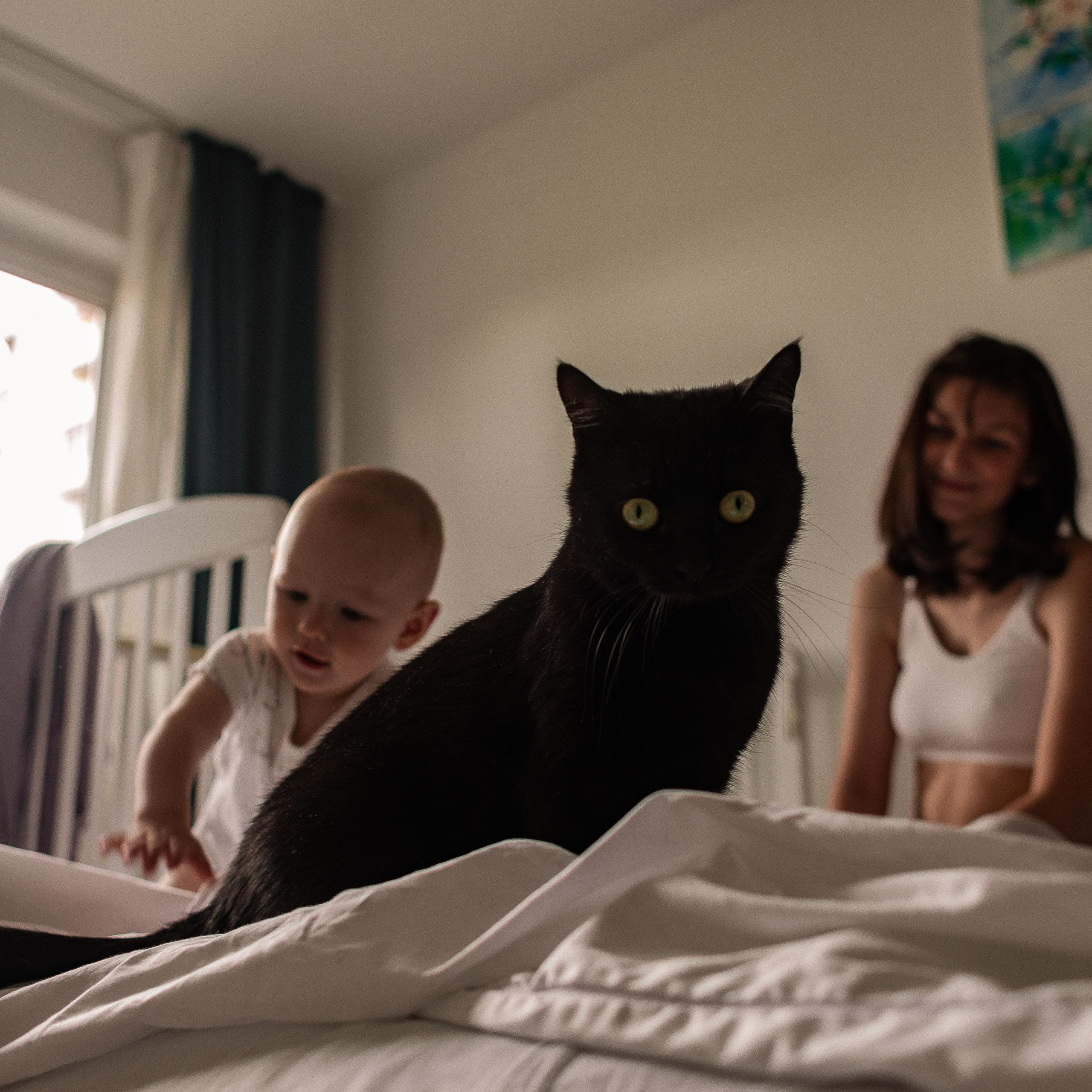 Эльвира и Родион