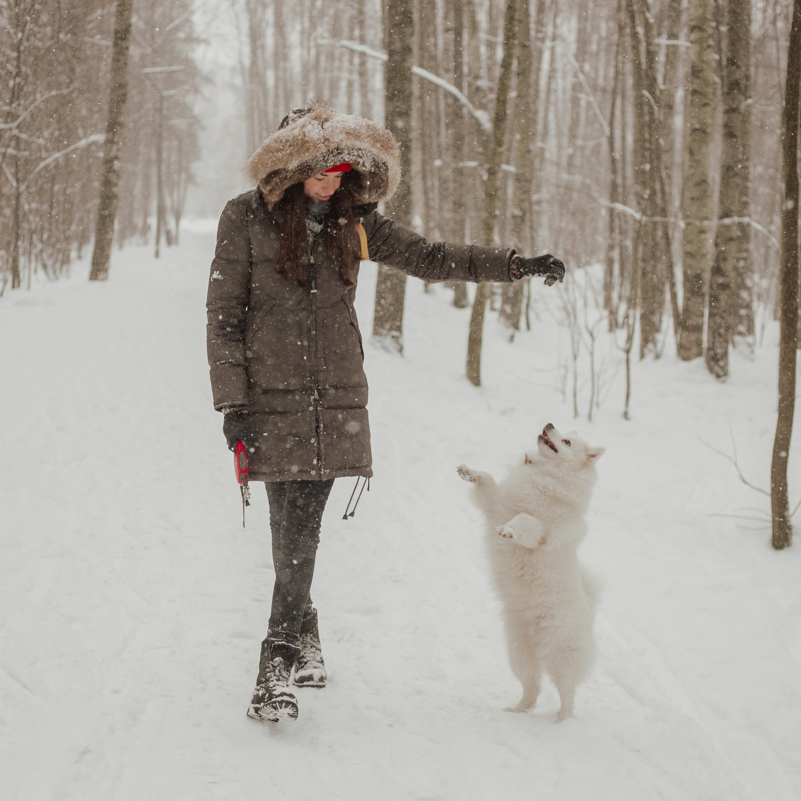 Зимняя прогулка с любимцем