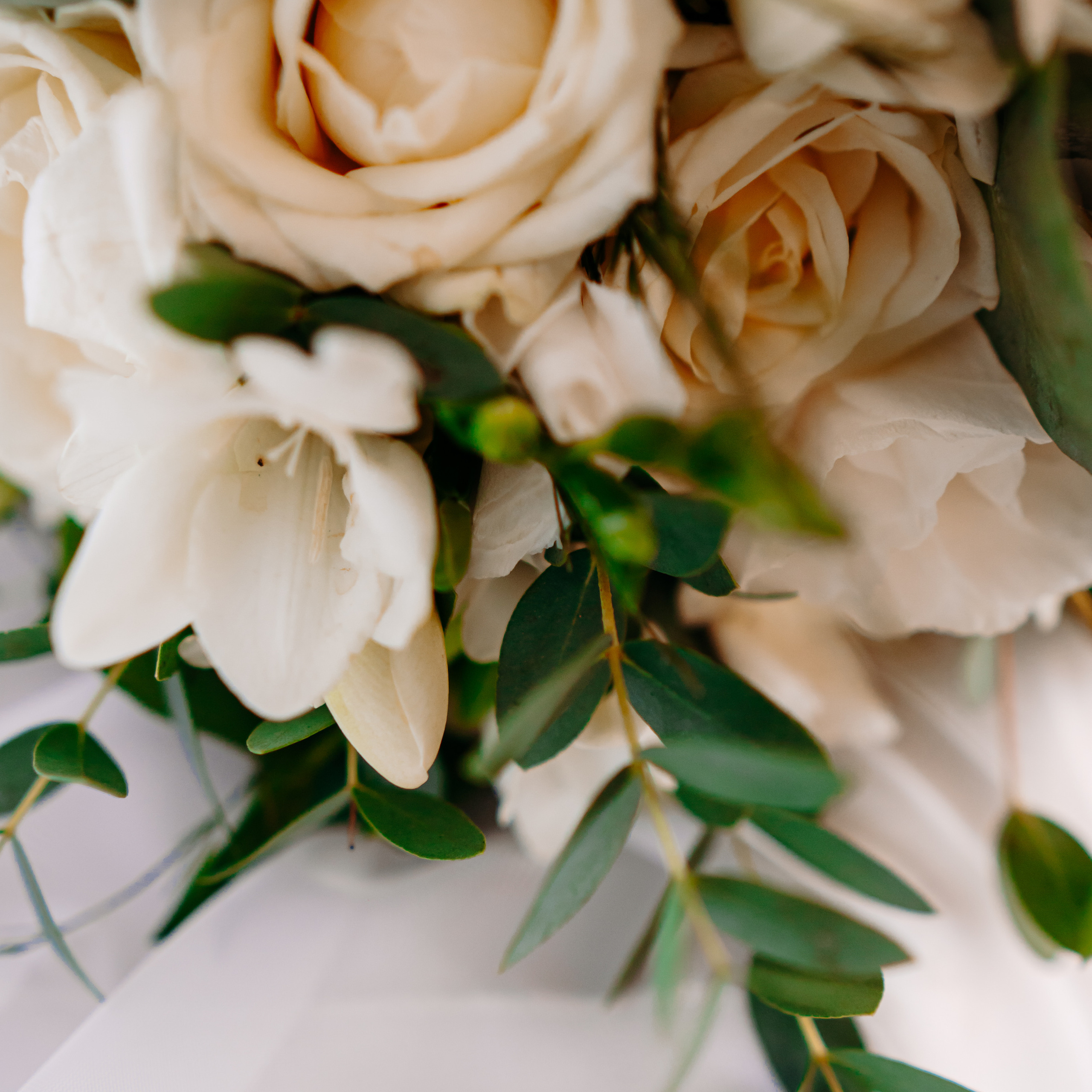 Любовь — как море. Фото | Видео Контент Мишель Ватаманюк