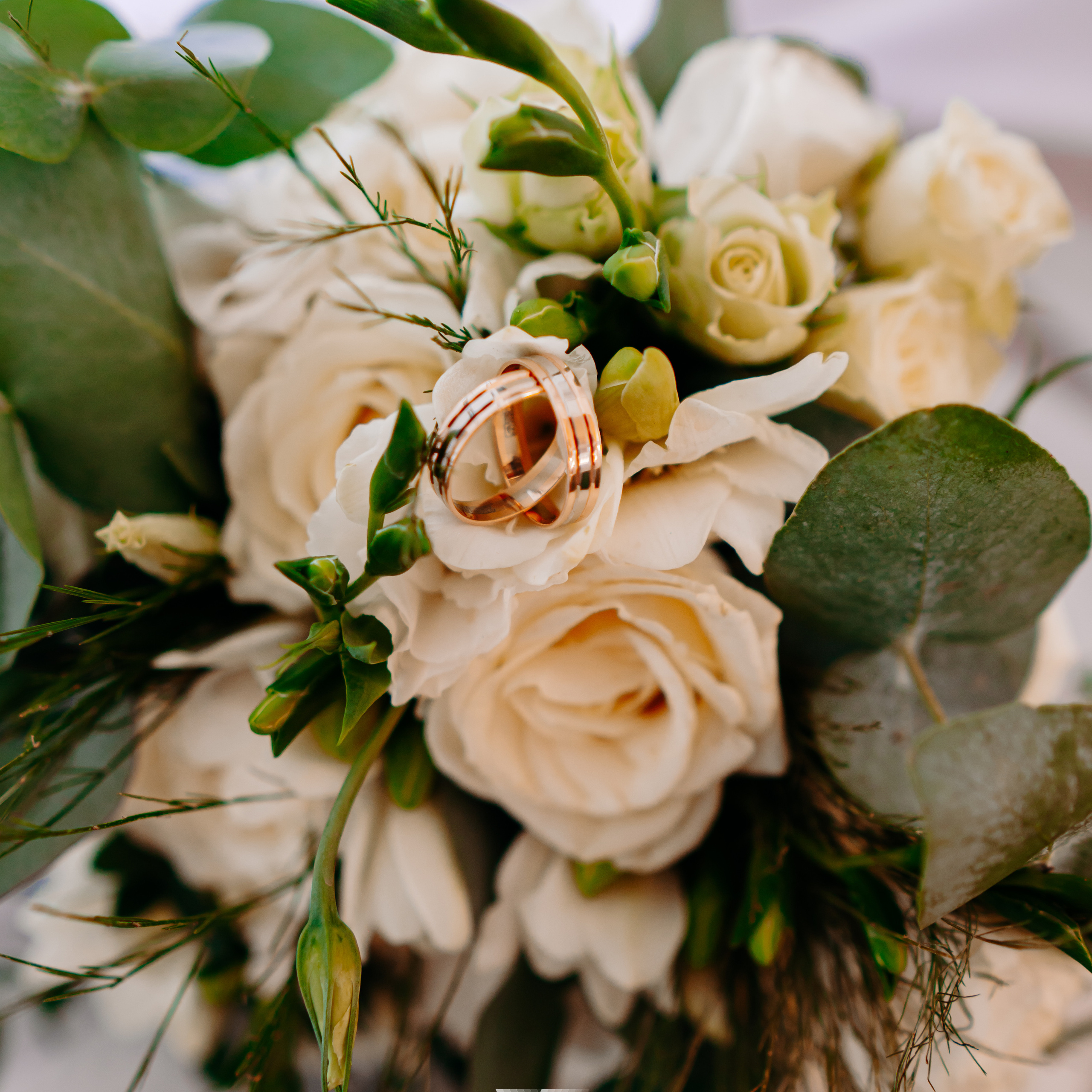 Любовь — как море. Фото | Видео Контент Мишель Ватаманюк