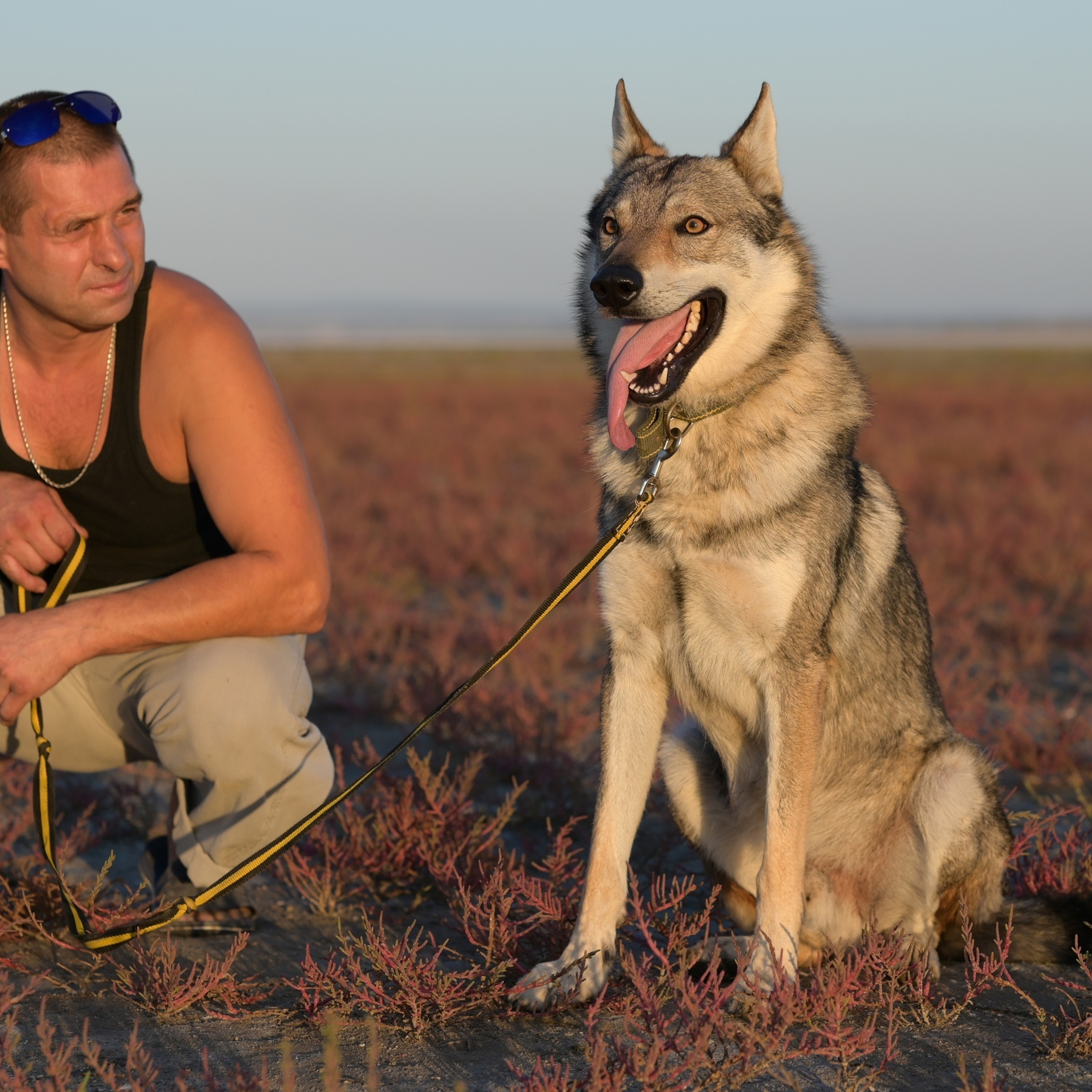 Отзывы: фотограф в Анапе Елена Нор. Фотограф в Анапе Елена Нор