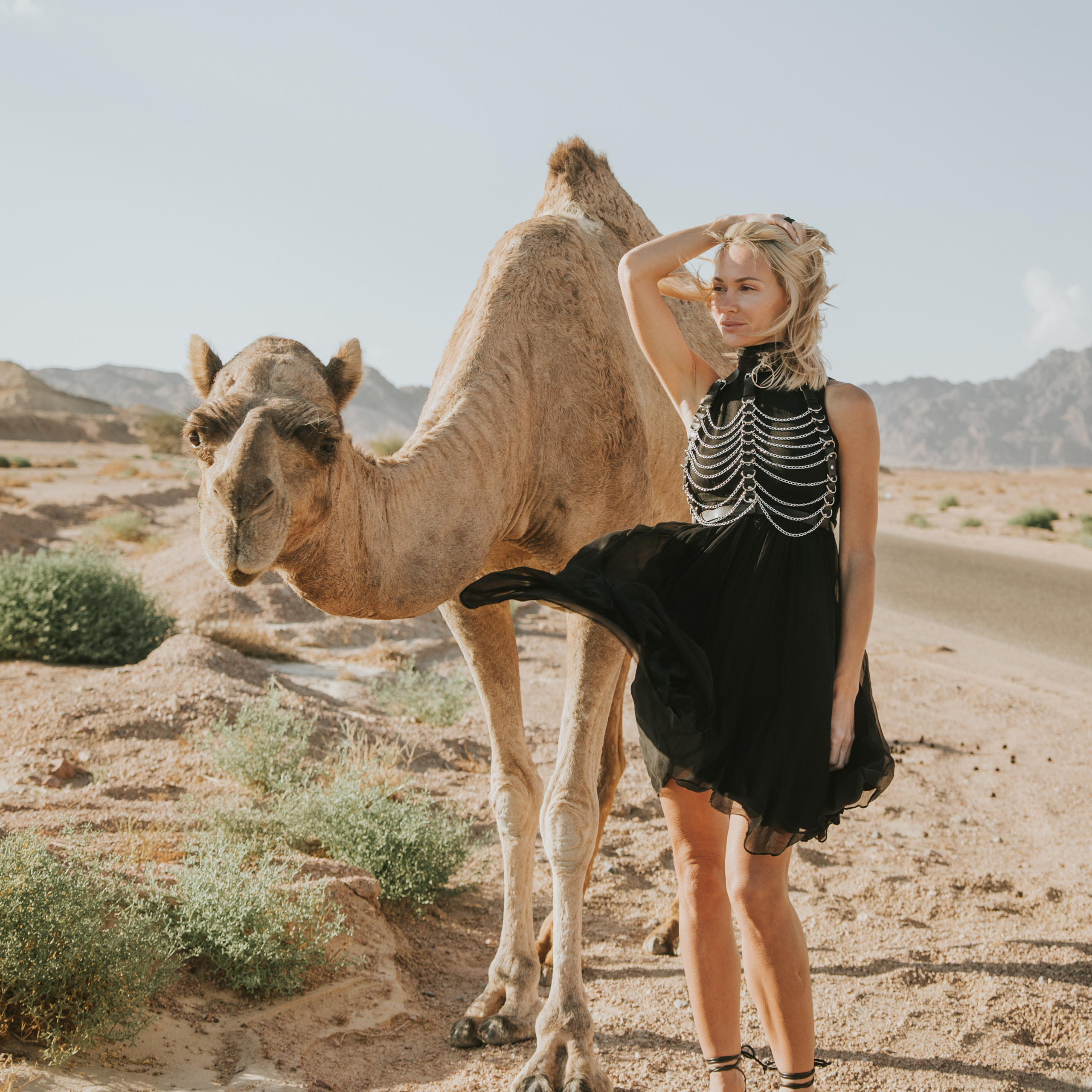 ОТЗЫВЫ. Свадебный и семейный фотограф в Египте Шарм Эль Шейхе Наталья Матлина