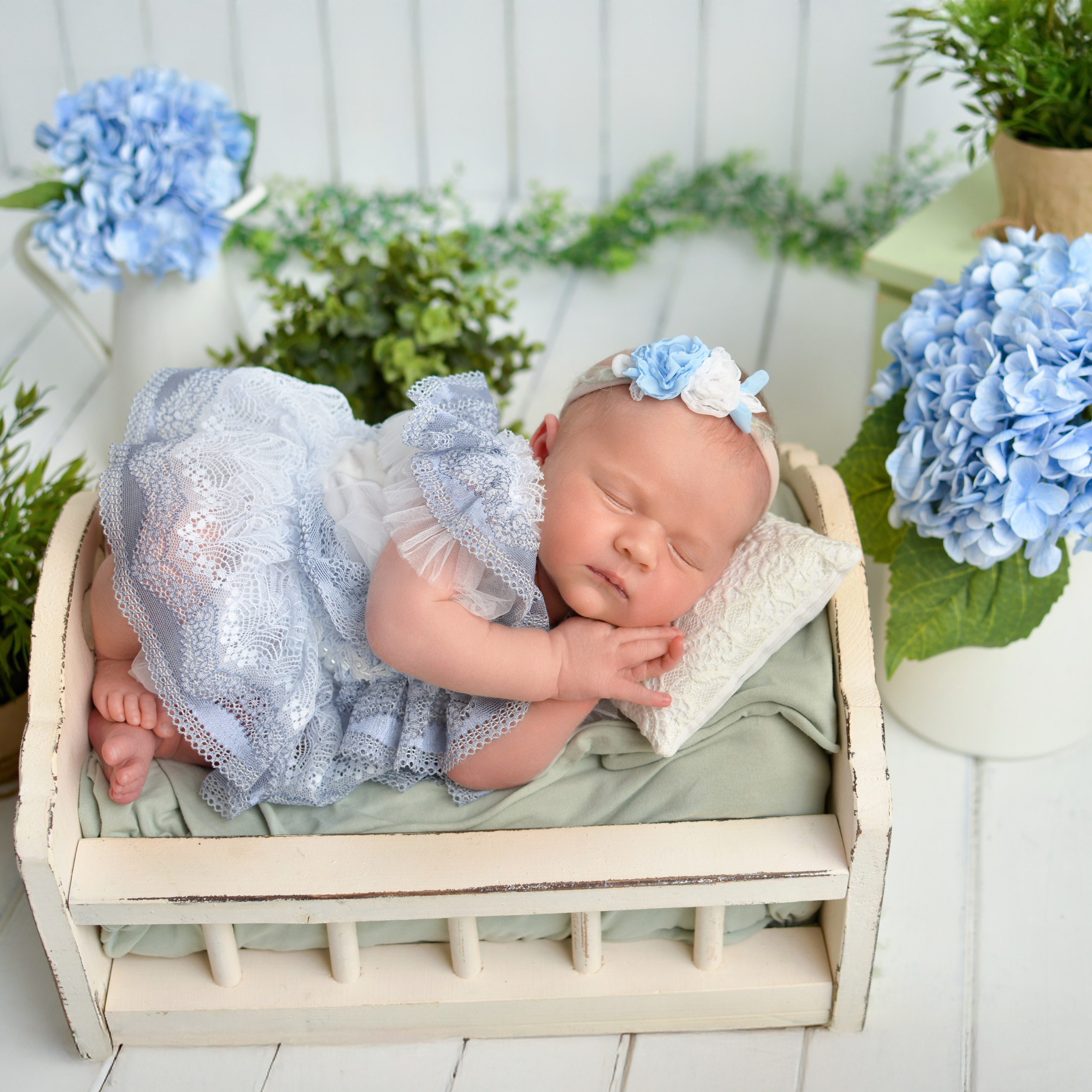 Всемила 10 дней