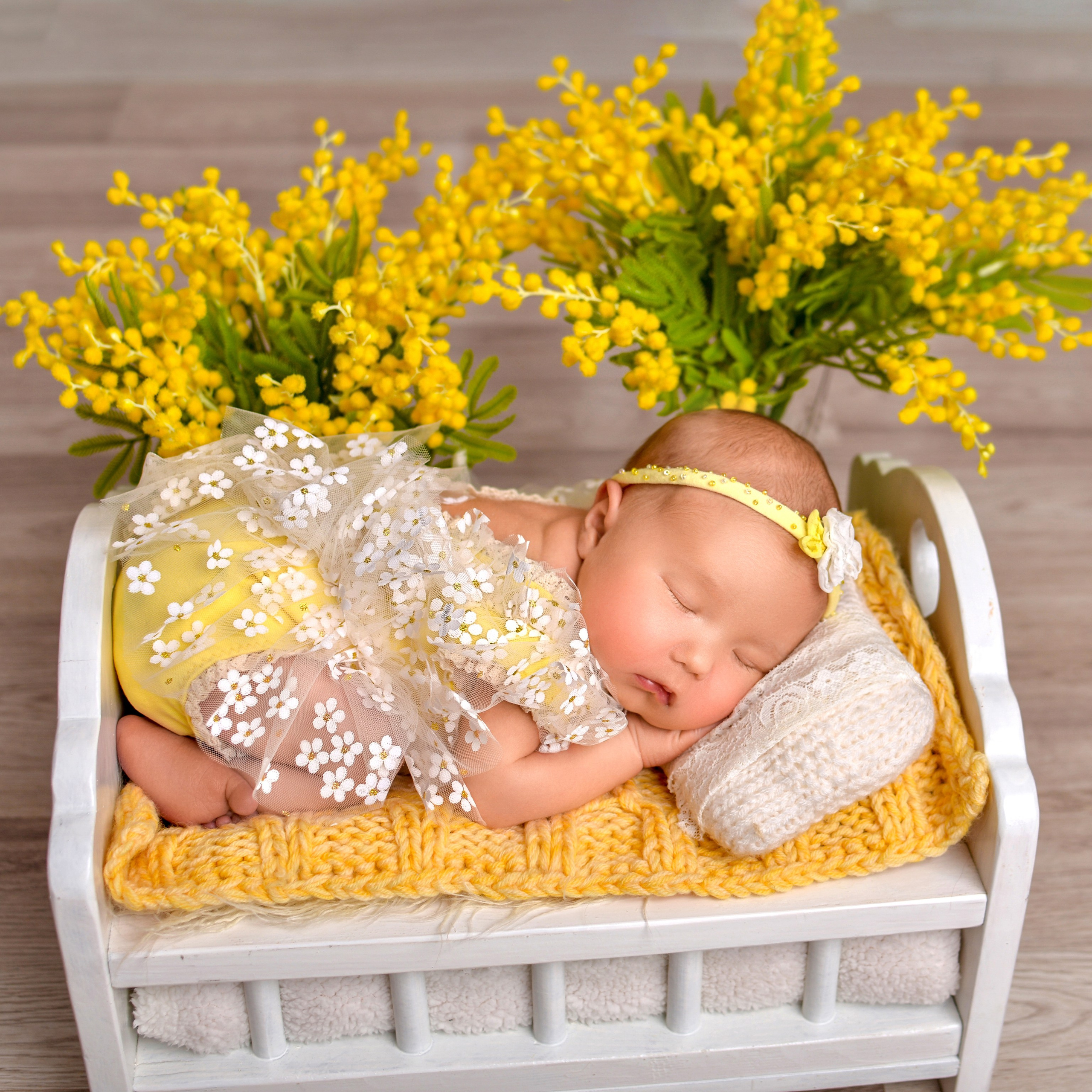 Амелия 14 дней