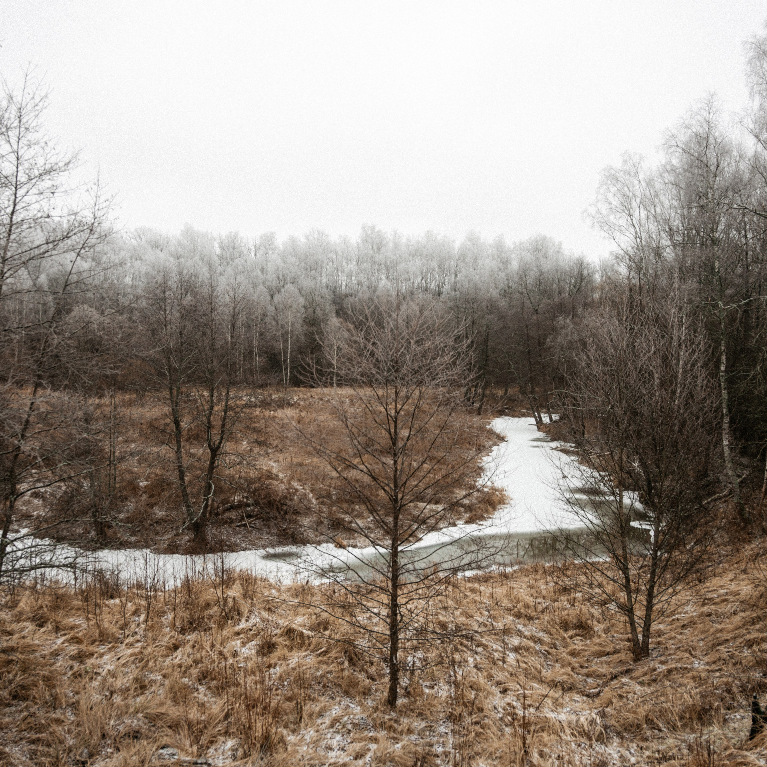 Прогулка по&nbsp;оврагу близ реки