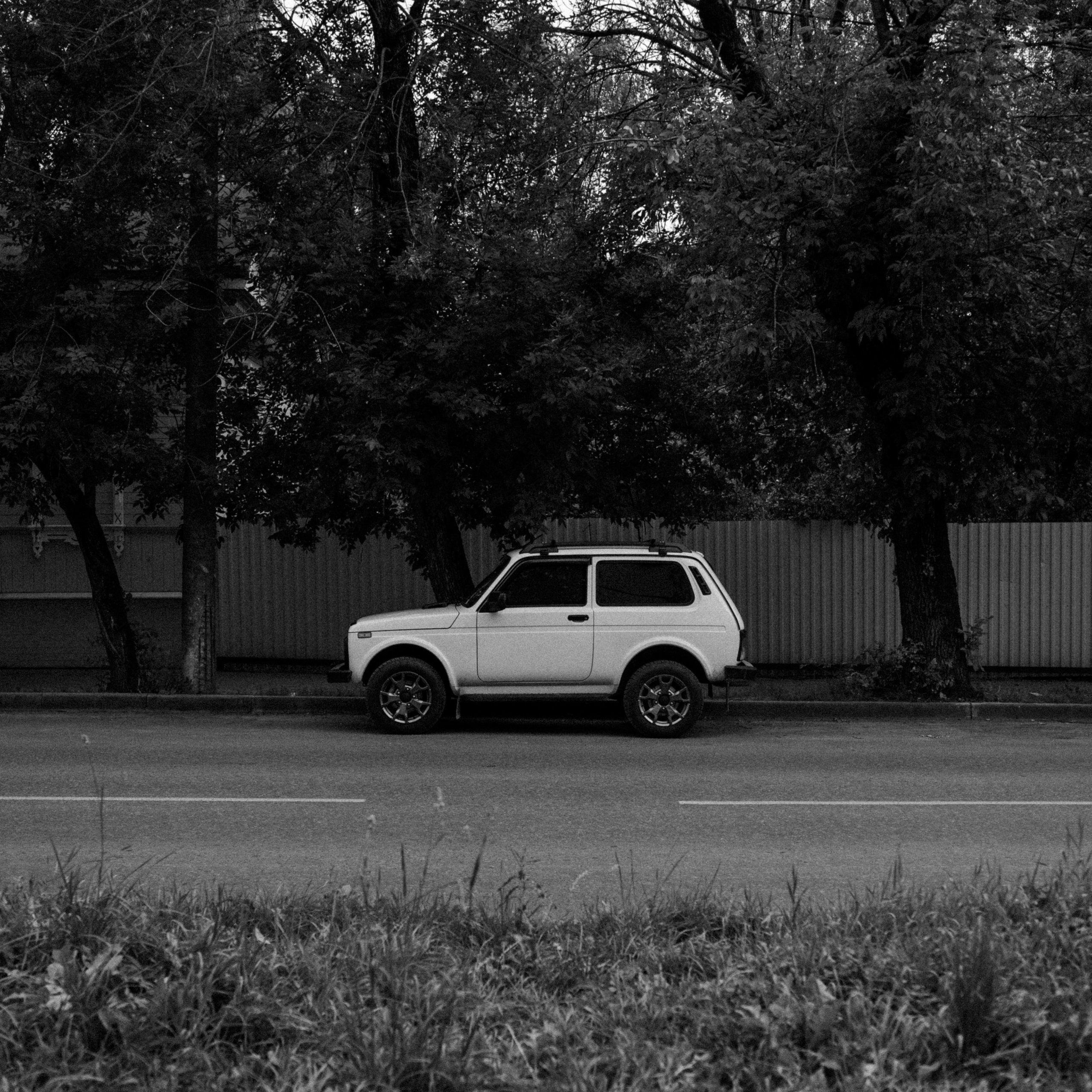 Городская суета