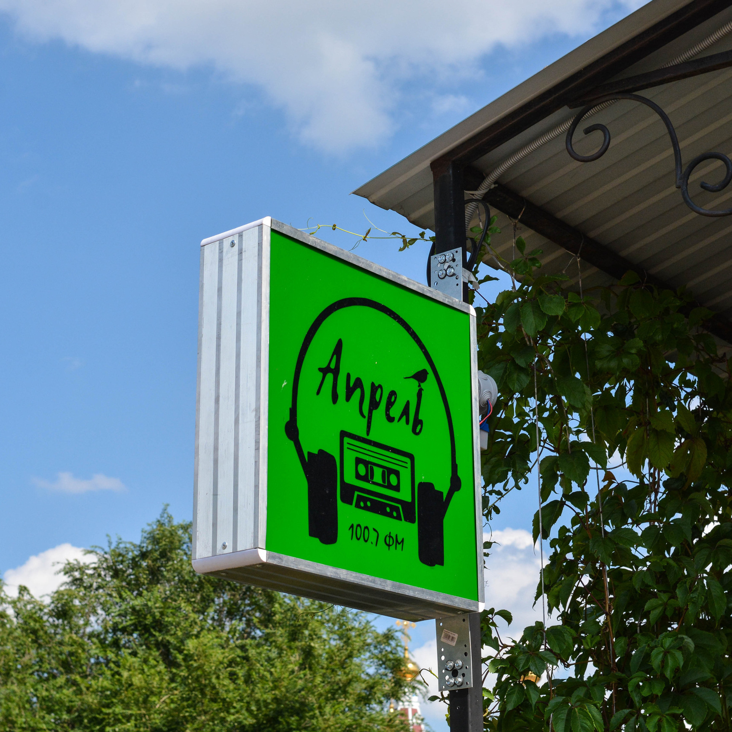 Отзывы | Reviews. Фотограф Елена Мордяшова | Photographer Elena Mordiashova