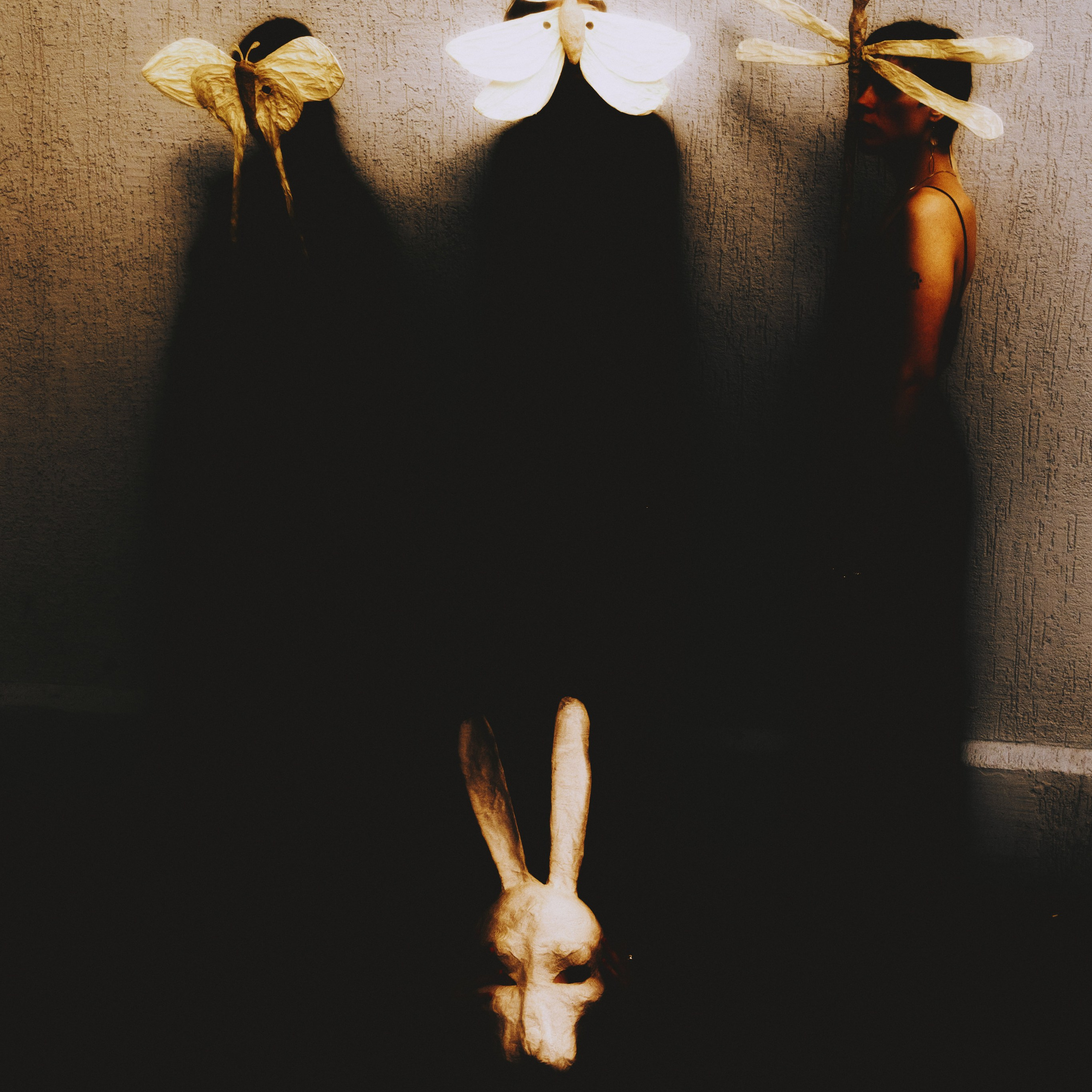 Зайцы и бабочки