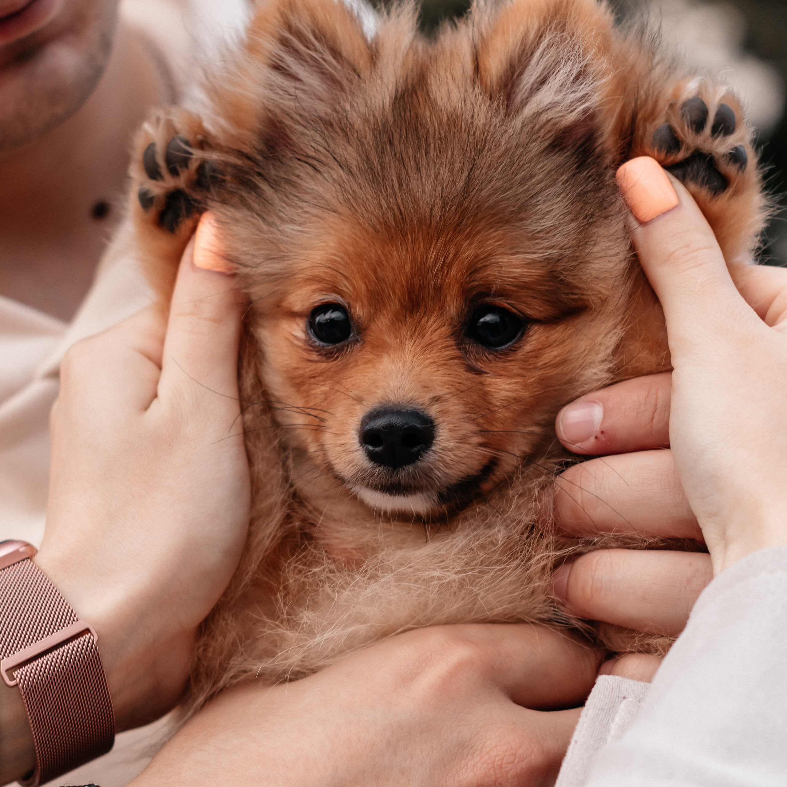 Рома, Алина и Луна