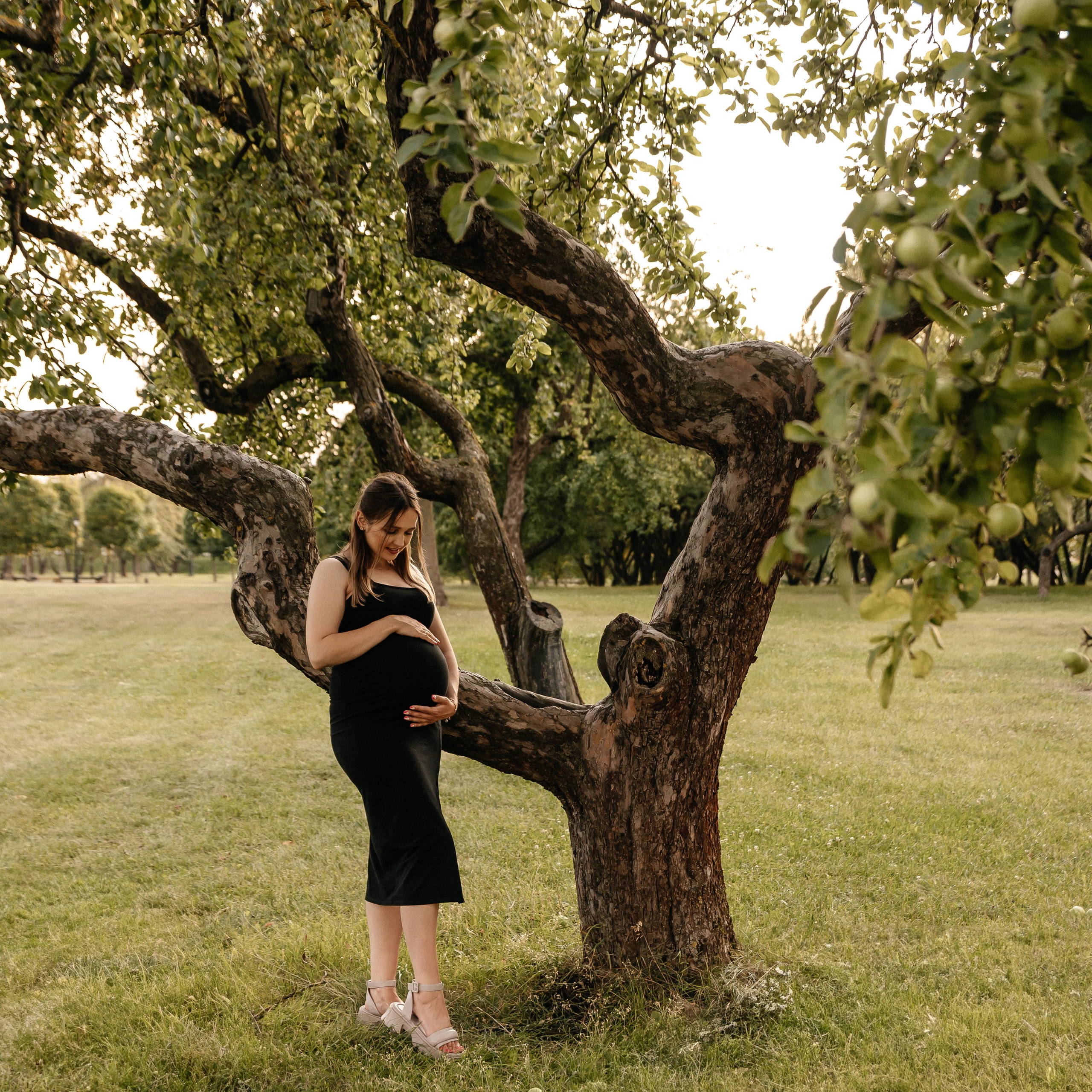 Таня, Дима и Платон