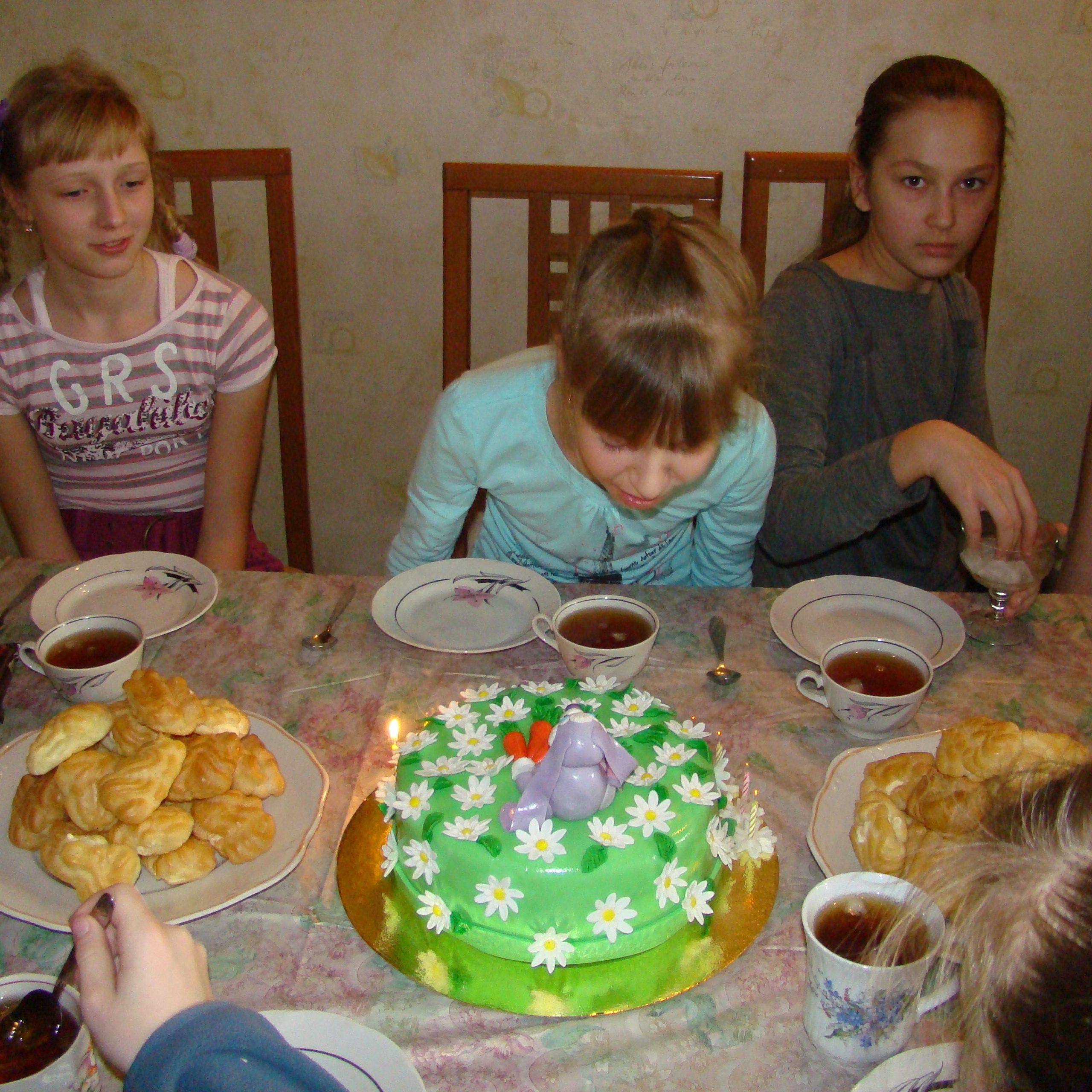 Катя ДР 12 лет Дома + Спортекс 04.12.2011