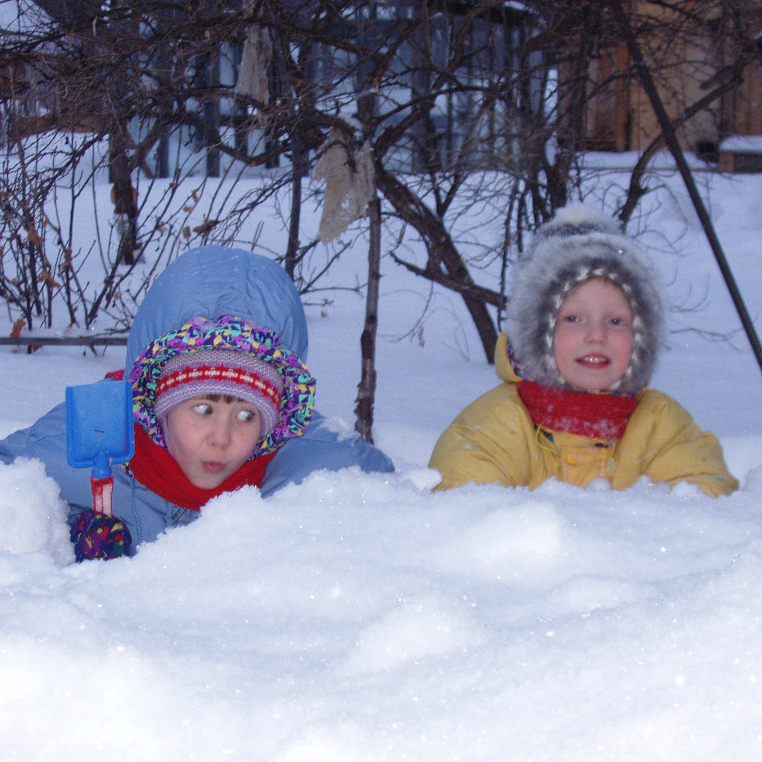 У&nbsp;Шостак на&nbsp;даче 16.01.2005