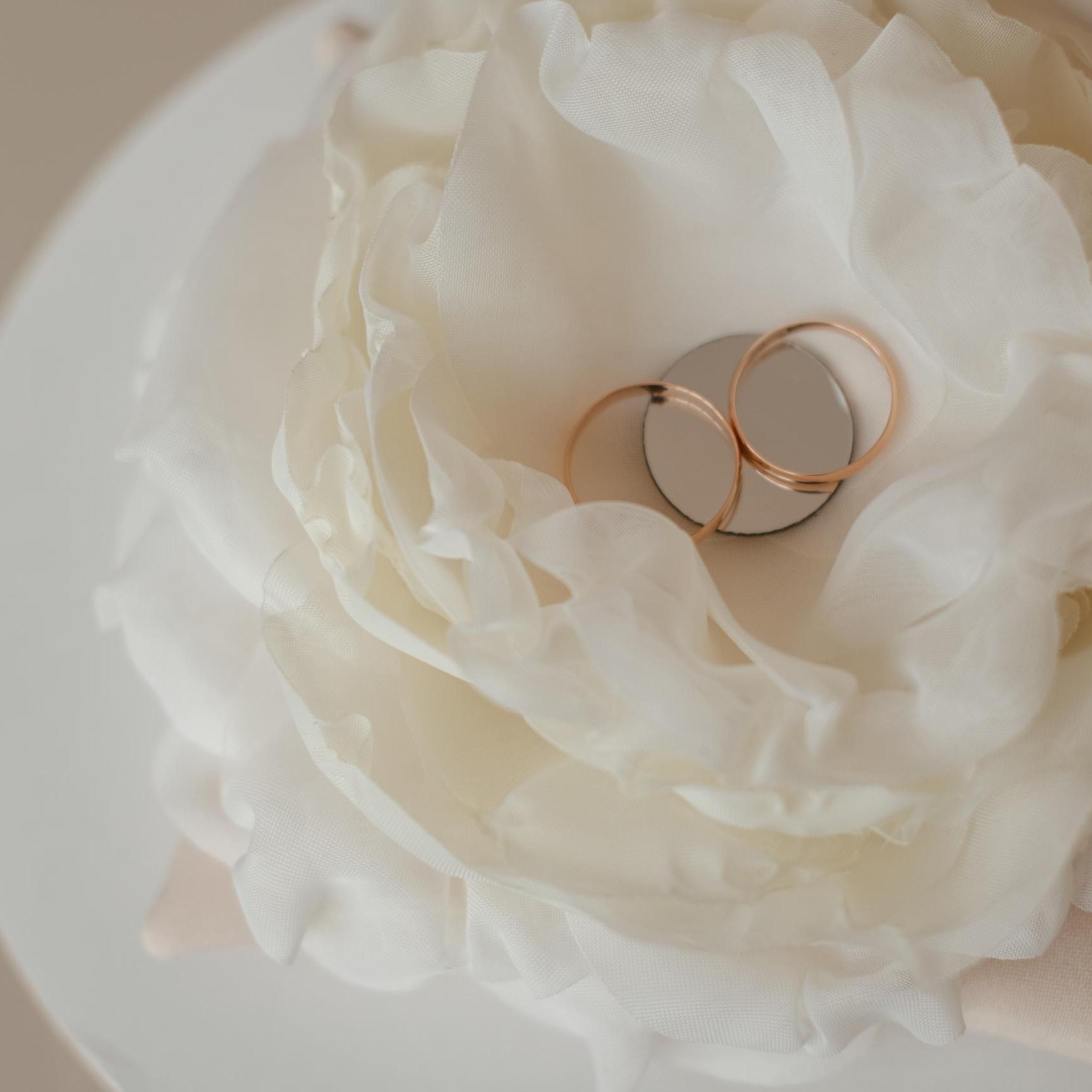 Отзывы. Женский и семейный фотограф в Костроме. Алена Шепот