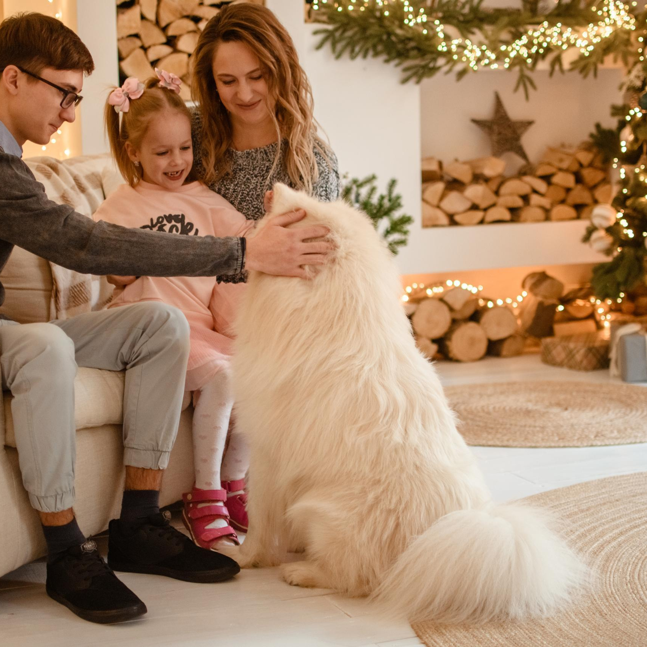 Отзывы. Женский и семейный фотограф в Костроме. Алена Шепот