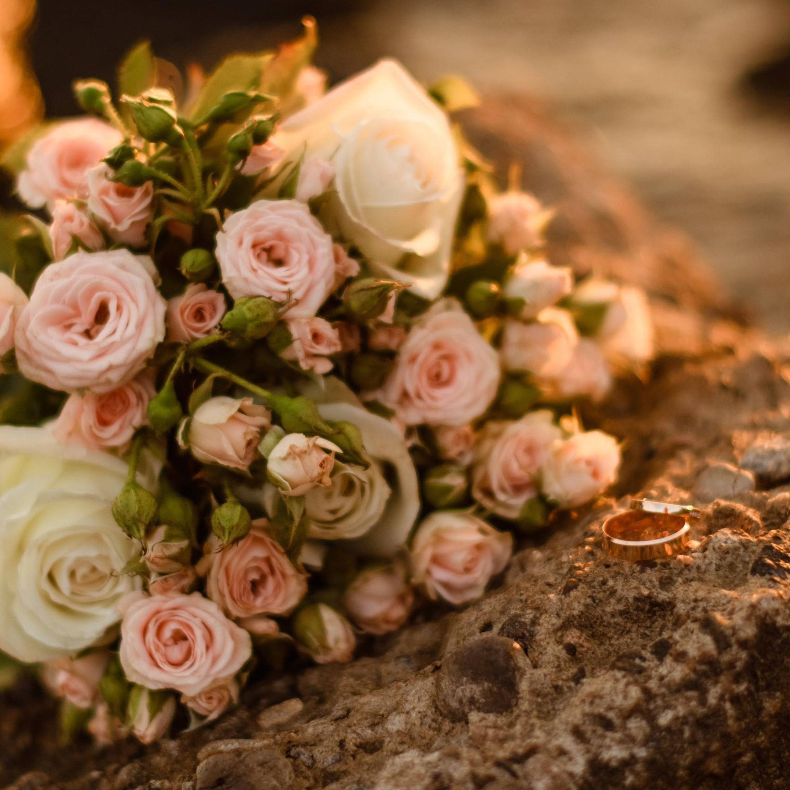 Отзывы. Женский и семейный фотограф в Костроме. Алена Шепот