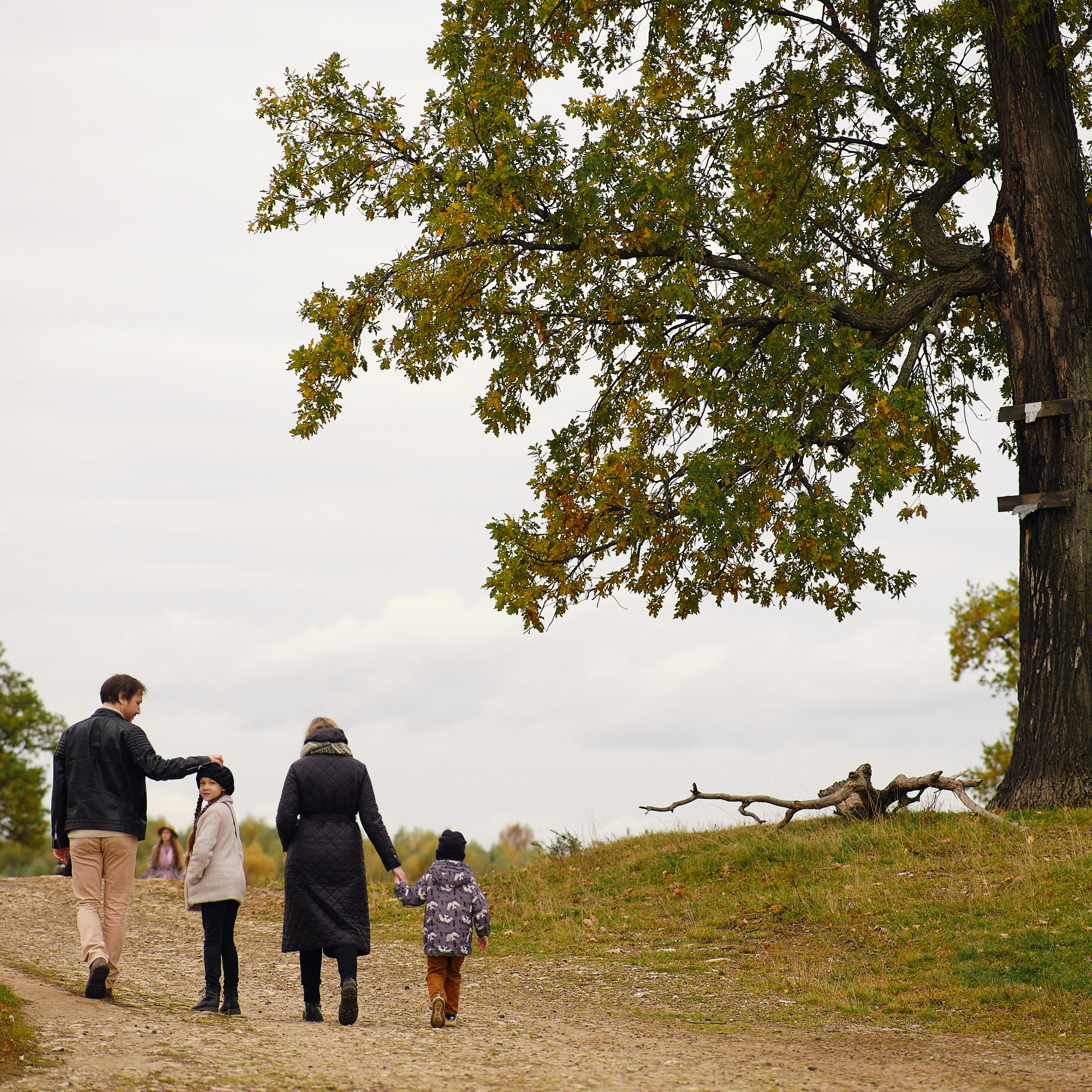 Отзывы клиентов