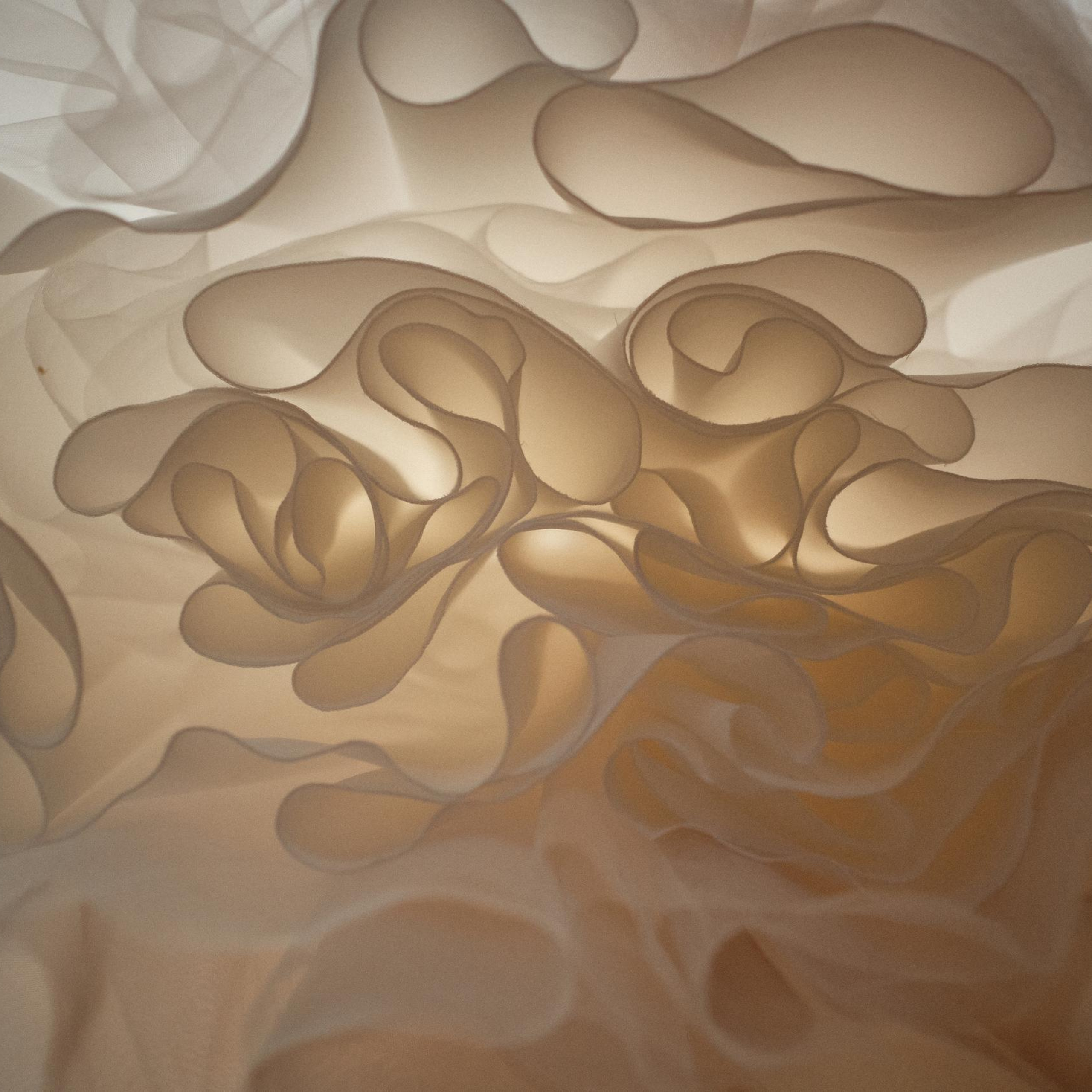 Отзывы клиентов