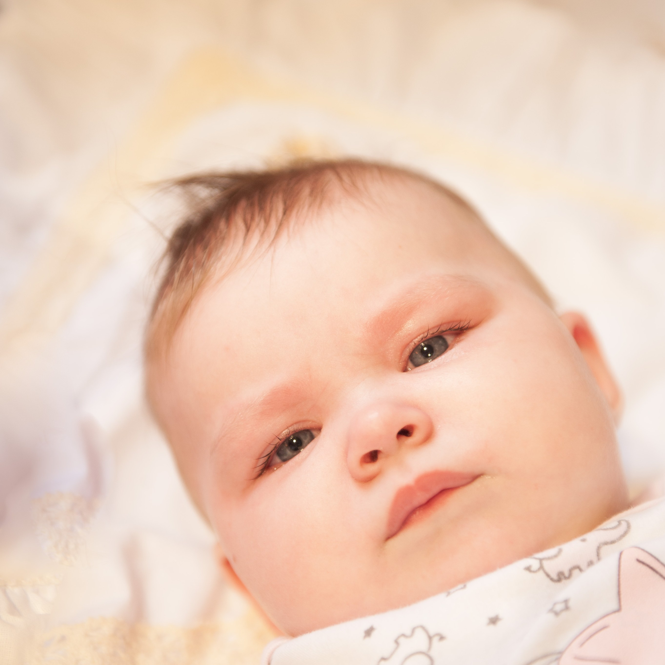 Фотосессии. Семейный Свадебный Фотограф в Ростове-на-Дону Батайске Дмитрий Александрович