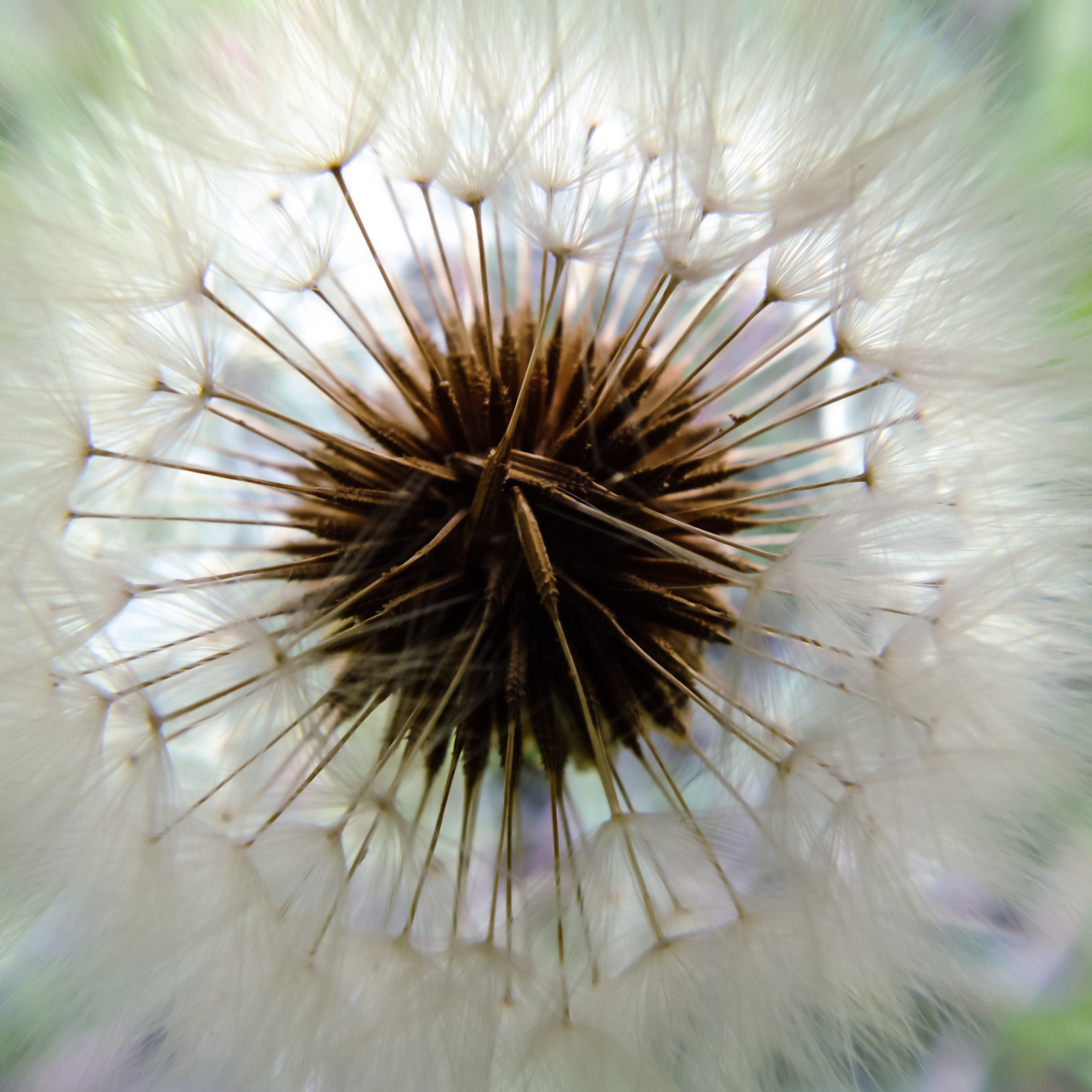 Портретный, свадебный, текстильный фотограф в Москве Ольга Иванова. Фотограф текстиля в Москве Ольга Иванова