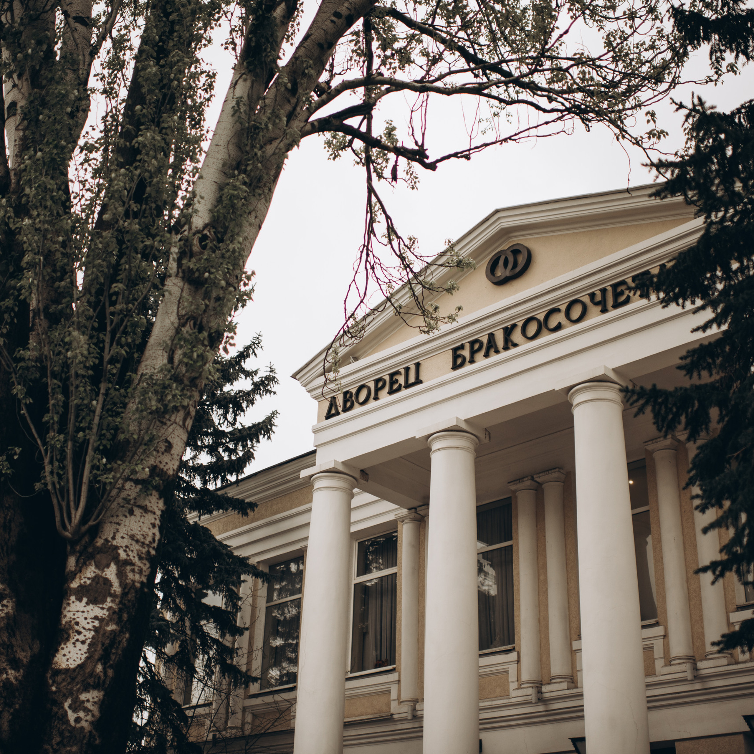 Отзывы. Фотограф Костикова Анастасия Ростов-на-Дону