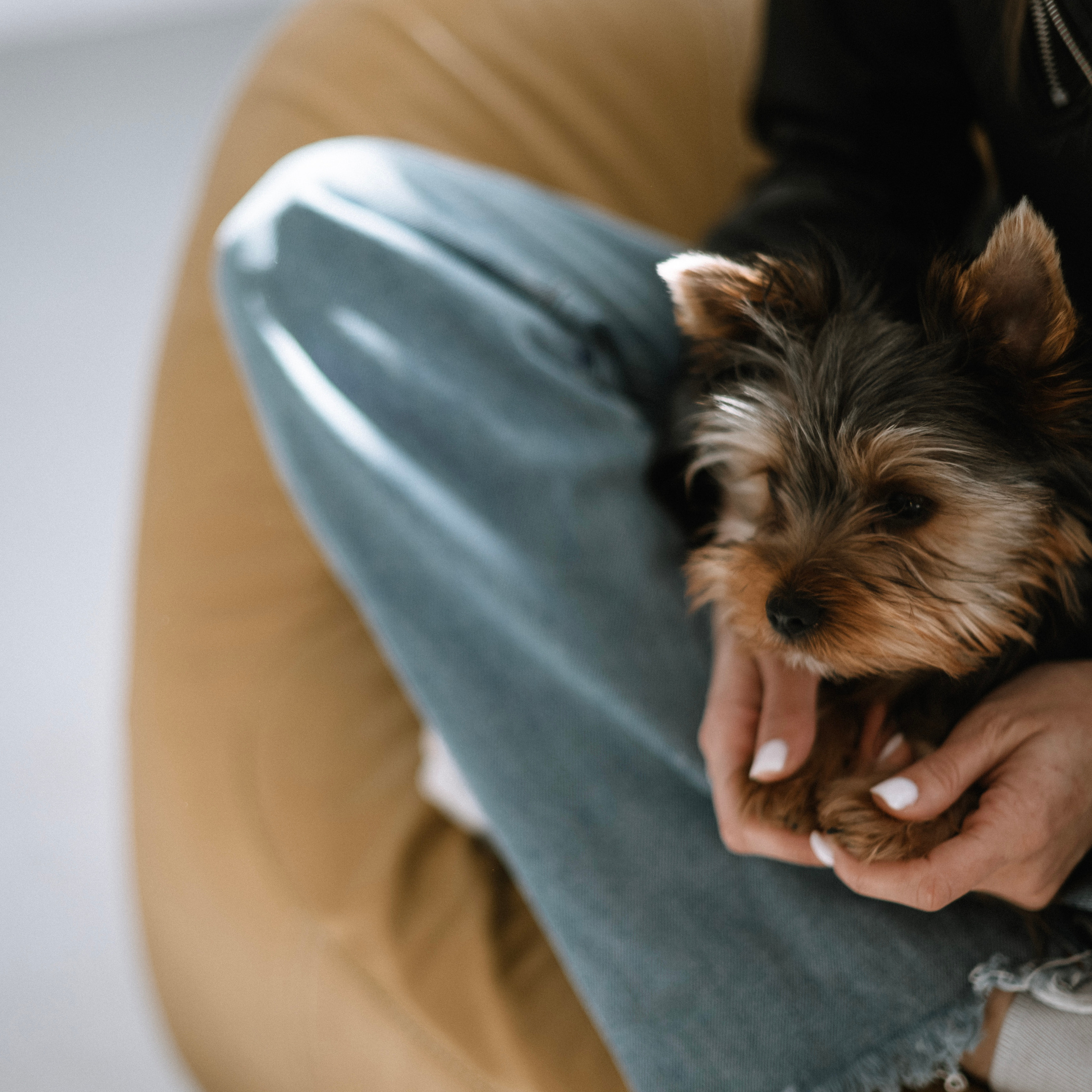 Отзывы. Фотограф Костикова Анастасия Ростов-на-Дону