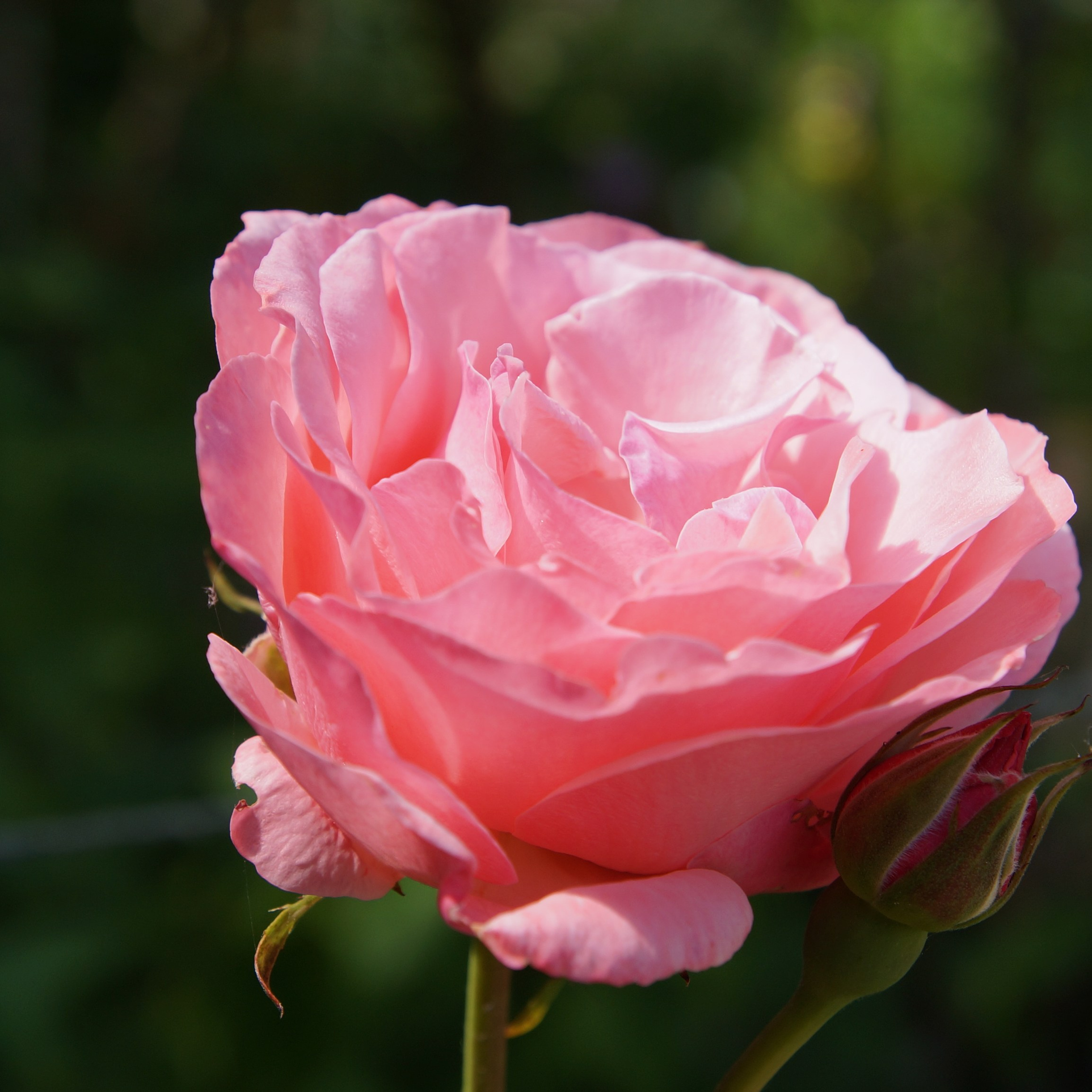 Отзывы. Фотограф — оформитель. Москва — Тверь