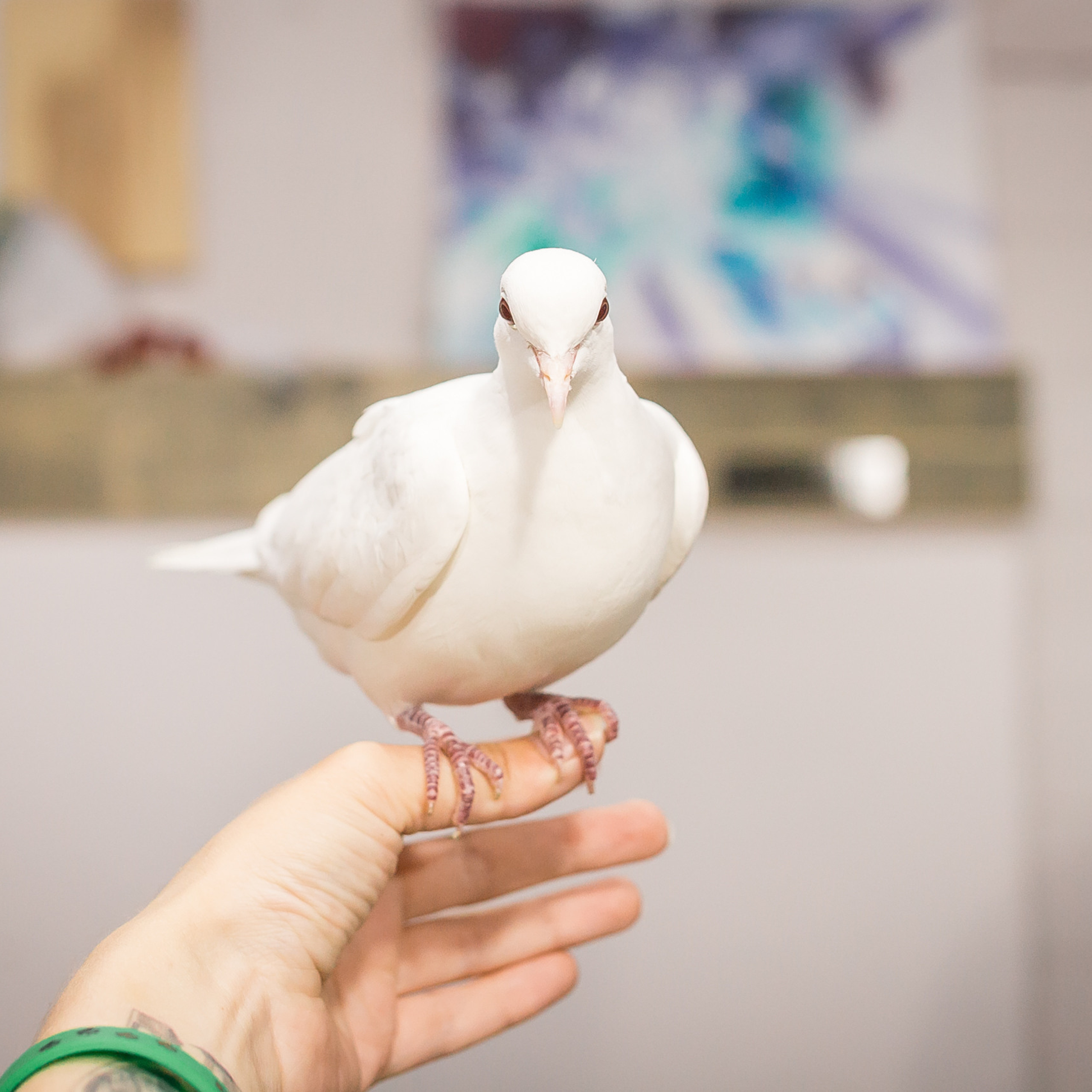 Отзывы. Фотографиня Мария Дикова