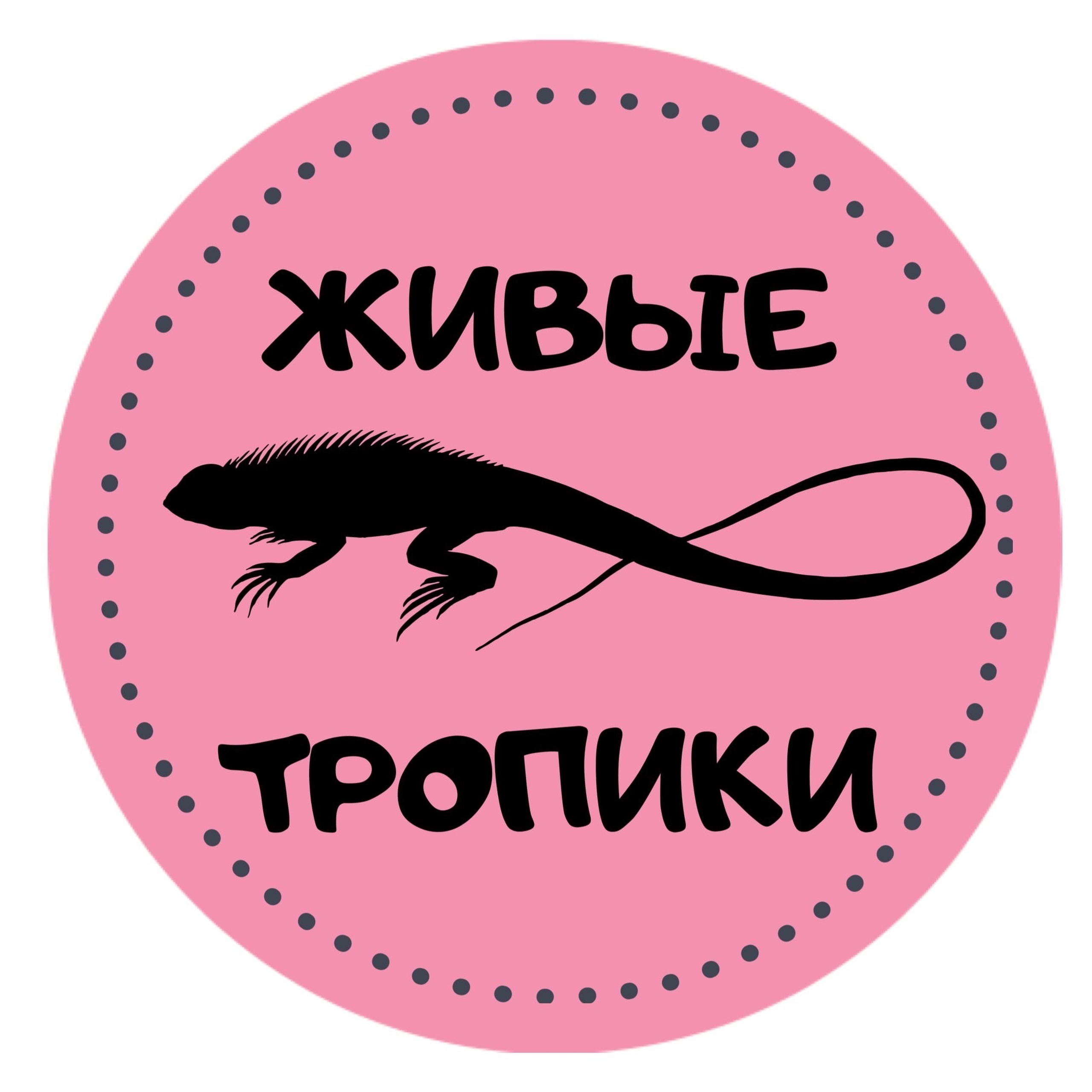 Отзывы. Фотографиня Мария Дикова