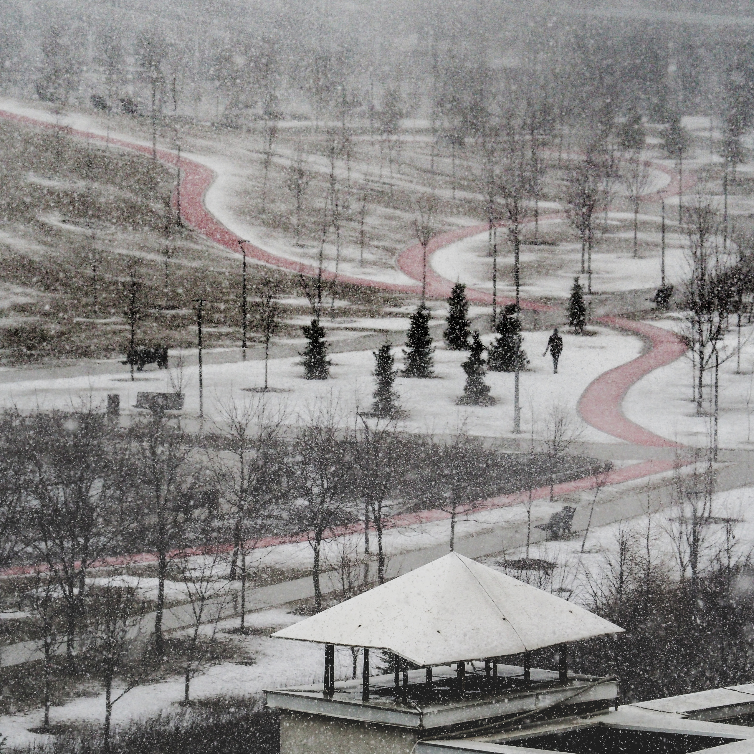 Moscow and its inhabitants