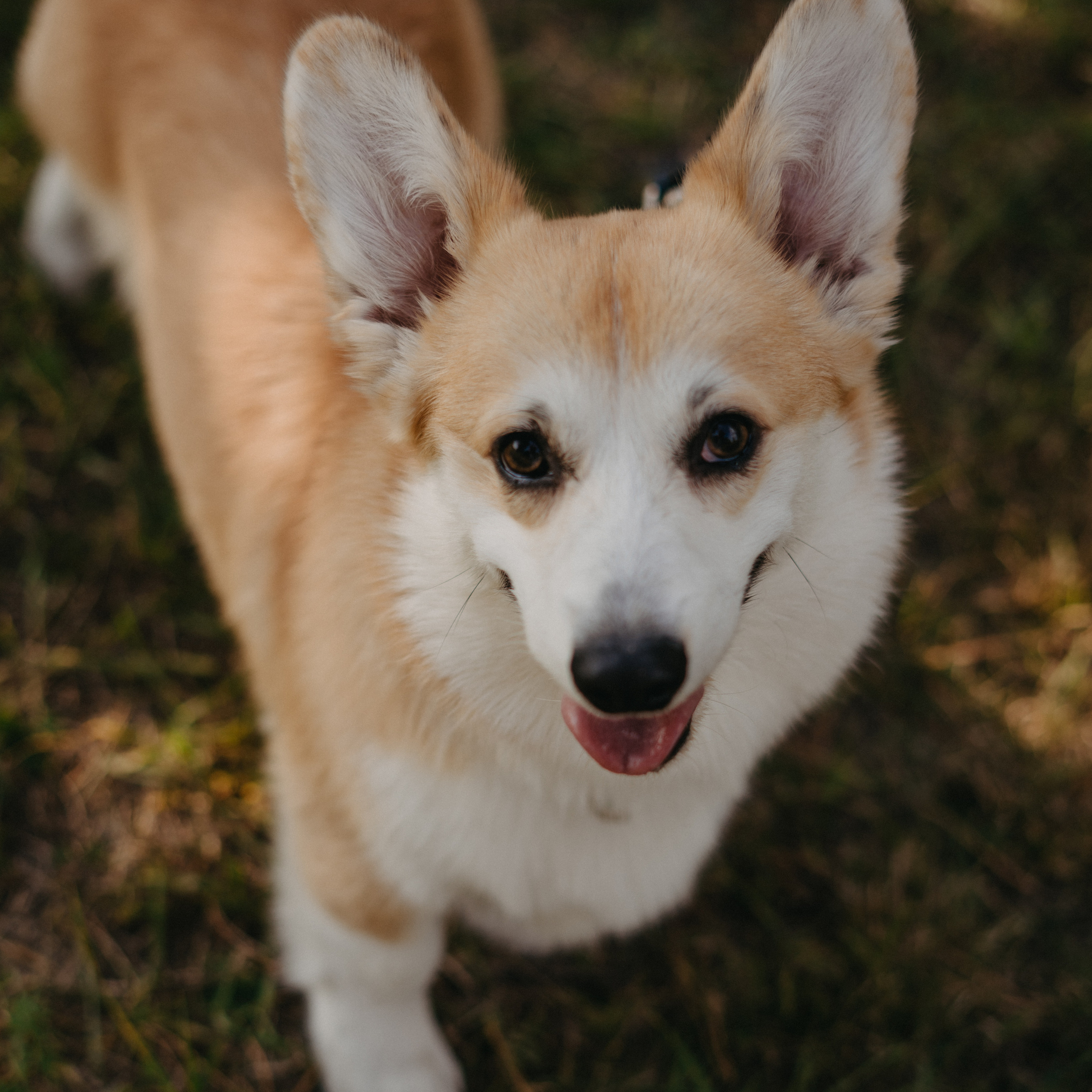 Отзывы. Фотограф в Красноярске Ирина Владимирова