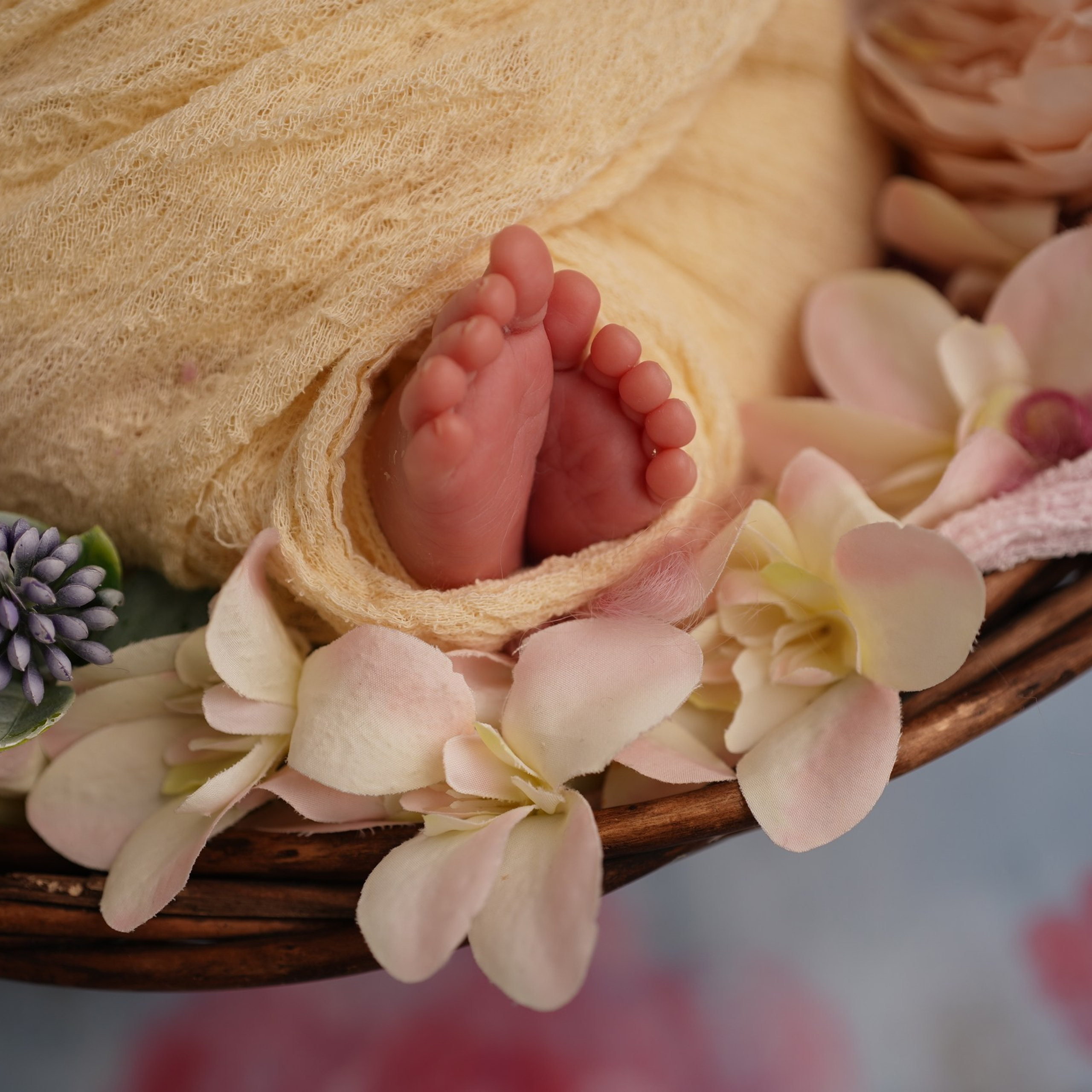 Отзывы о фотосессии новорожденных. Фотограф новорожденных в Нижнем Новгороде Сергеева Оксана