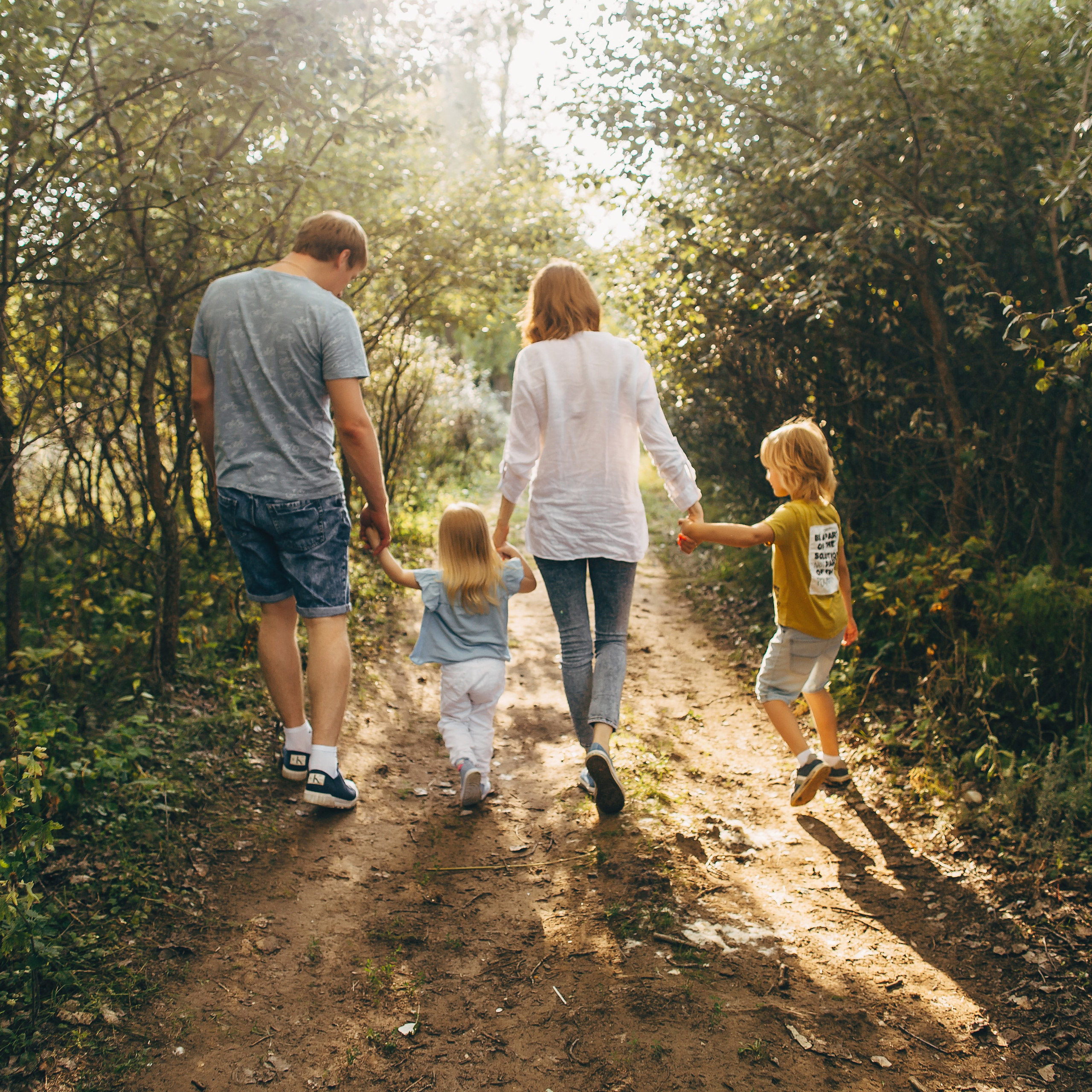 Солнечные зайчики