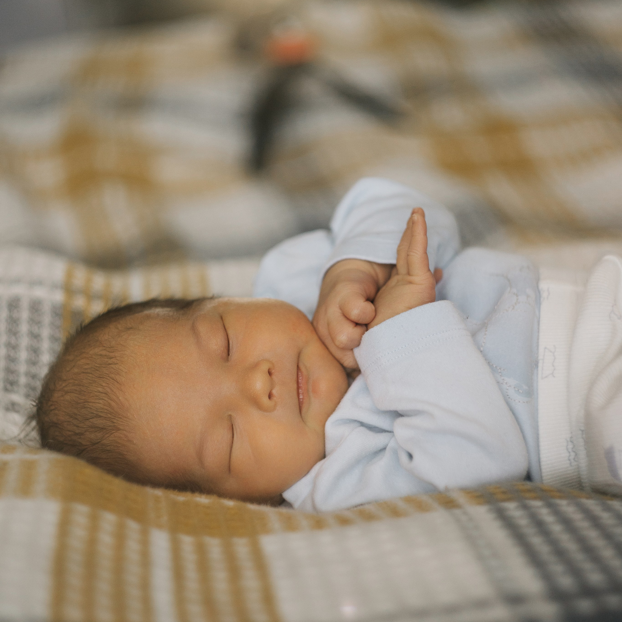 Привет Владик