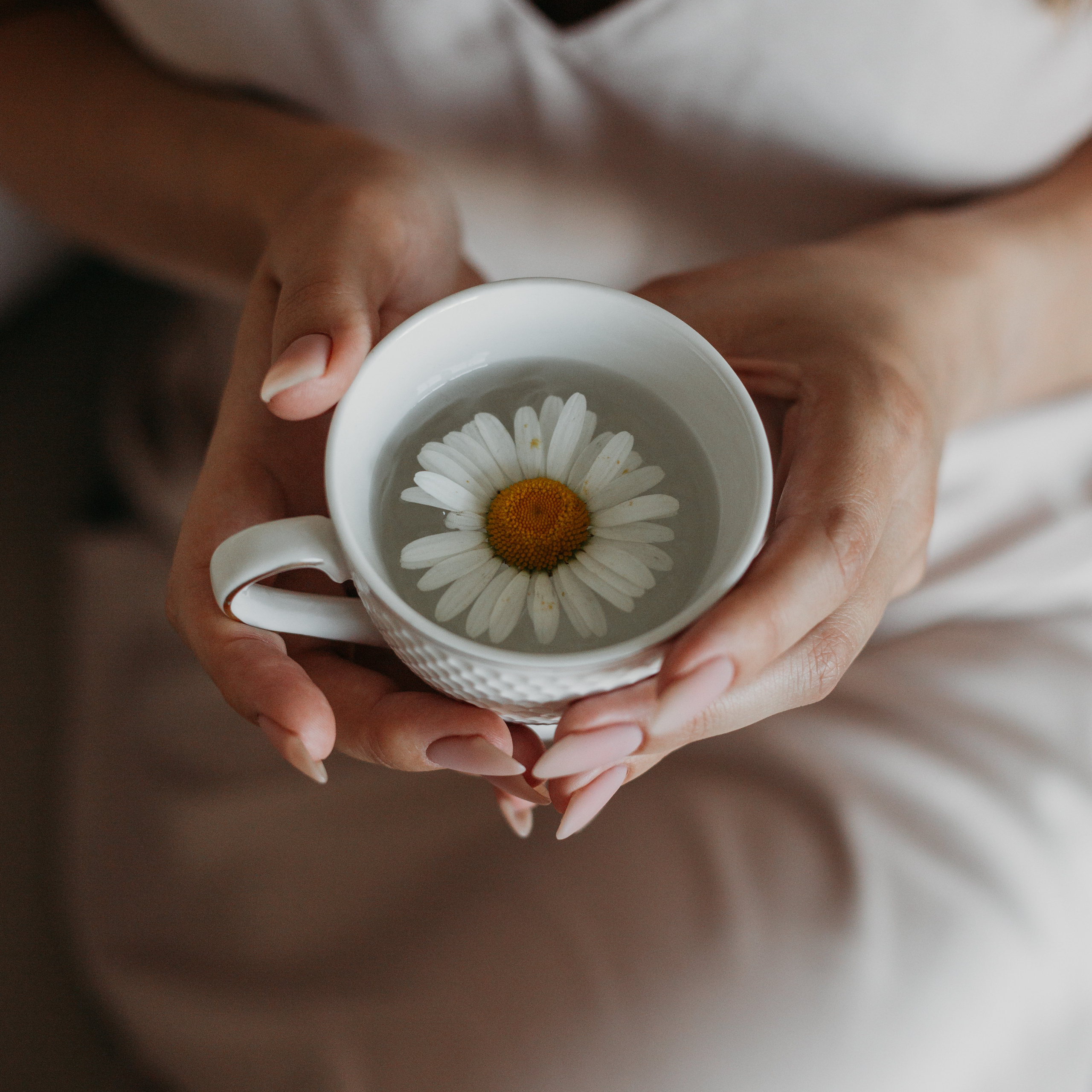 Отзывы. Фотограф Красноярск Рукосуева Катерина