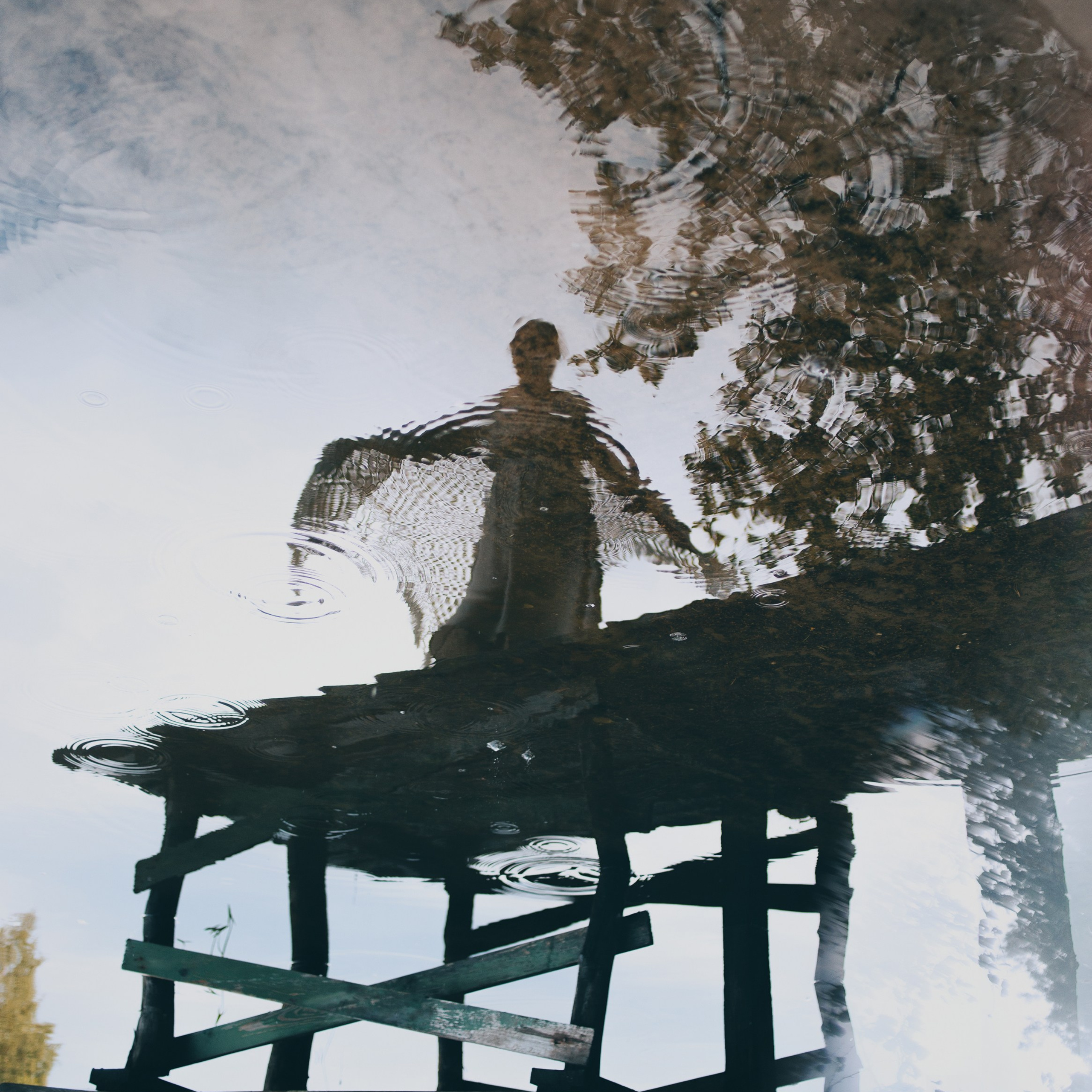 Лесная и озерная