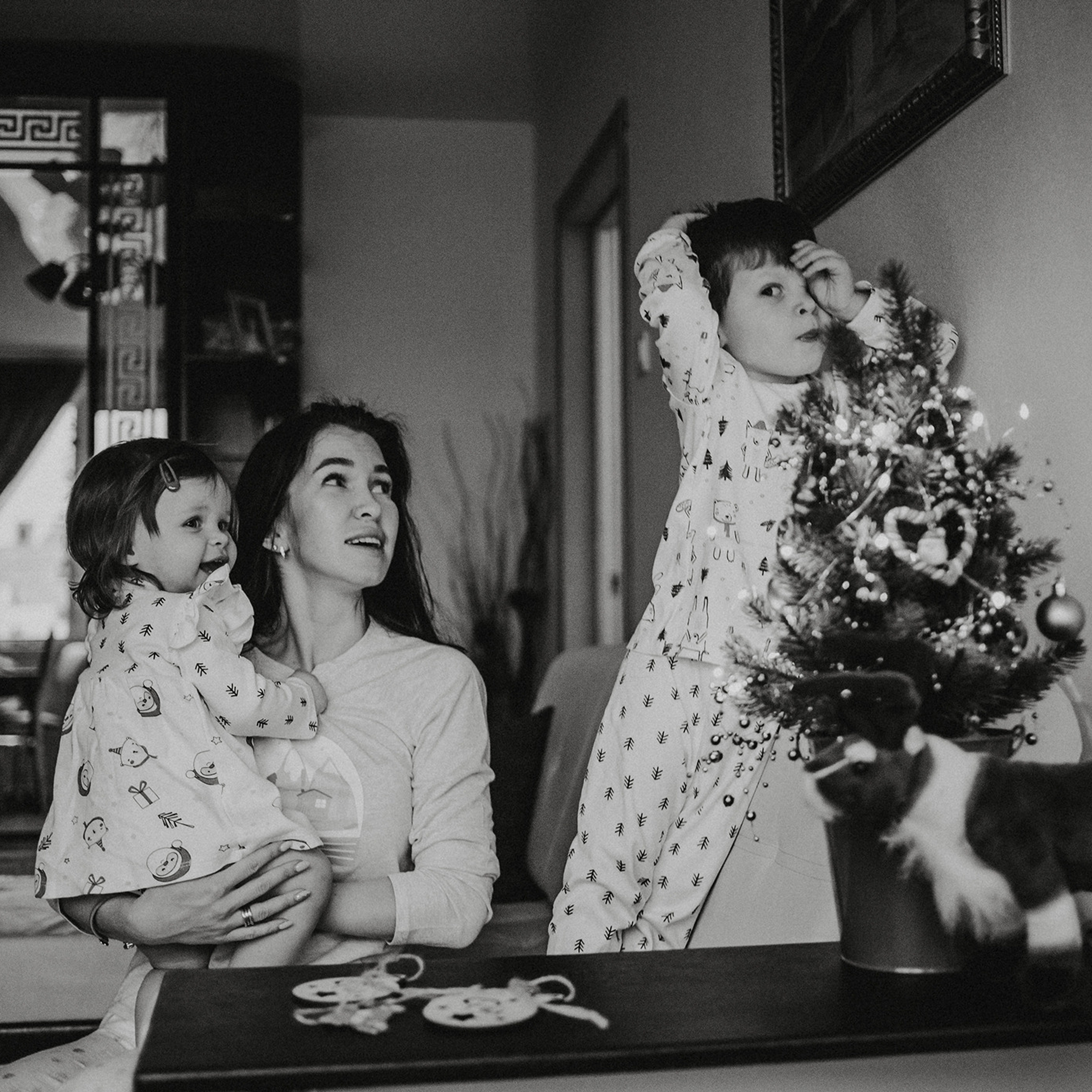 Отзывы. Фотограф в Санкт-Петербурге Вера Сивенкова