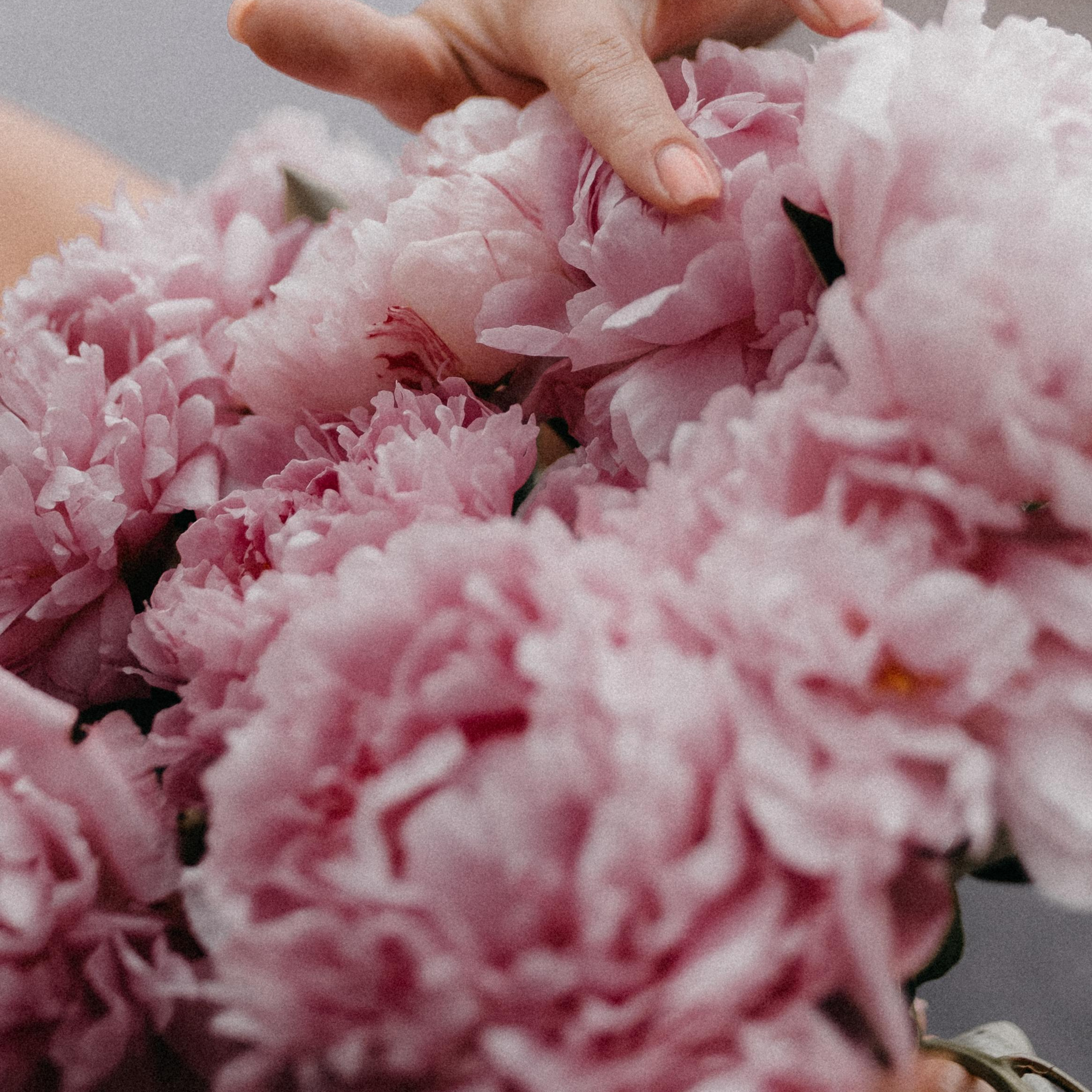 Контент для флориста