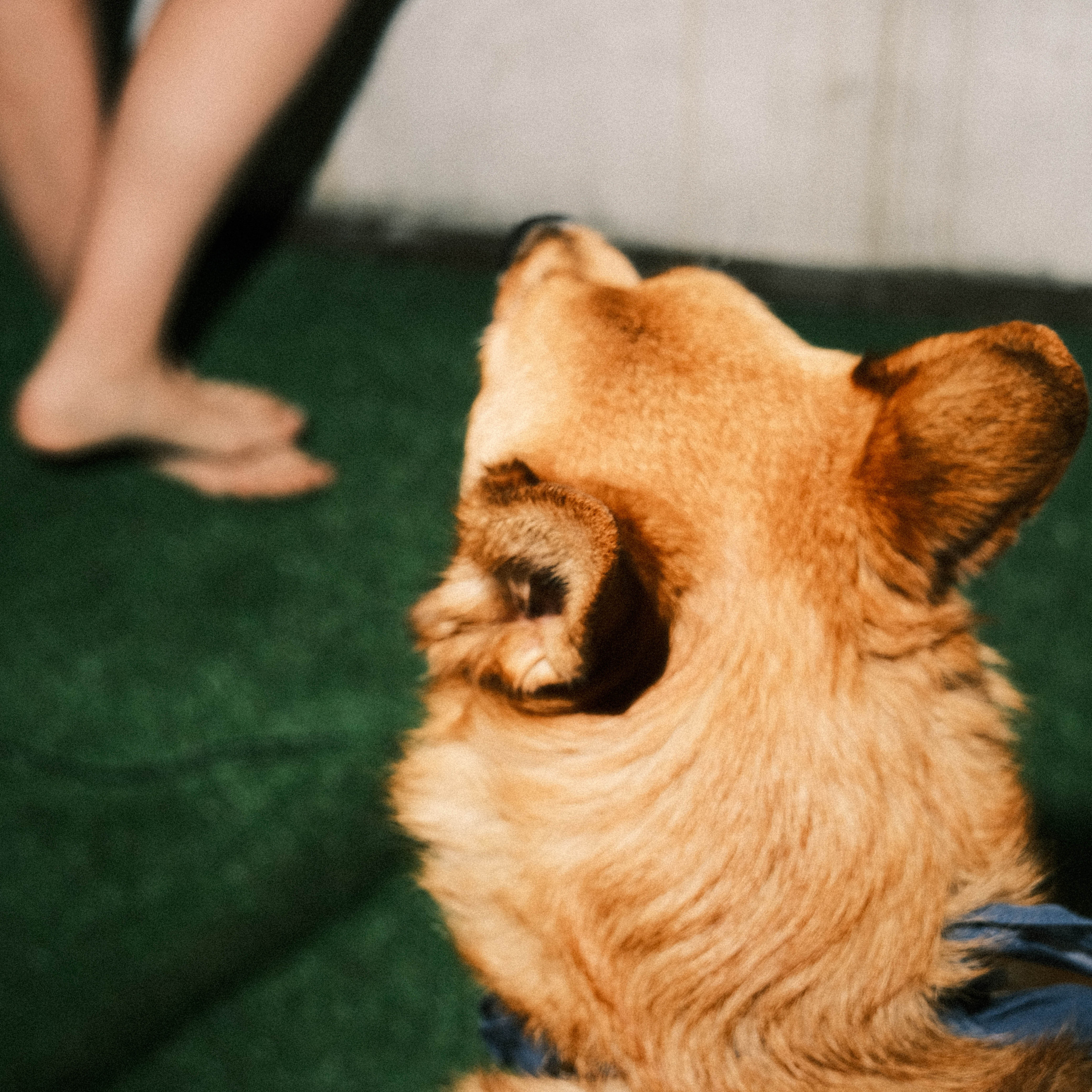 Ваши письма. Maria Sineva, photographer