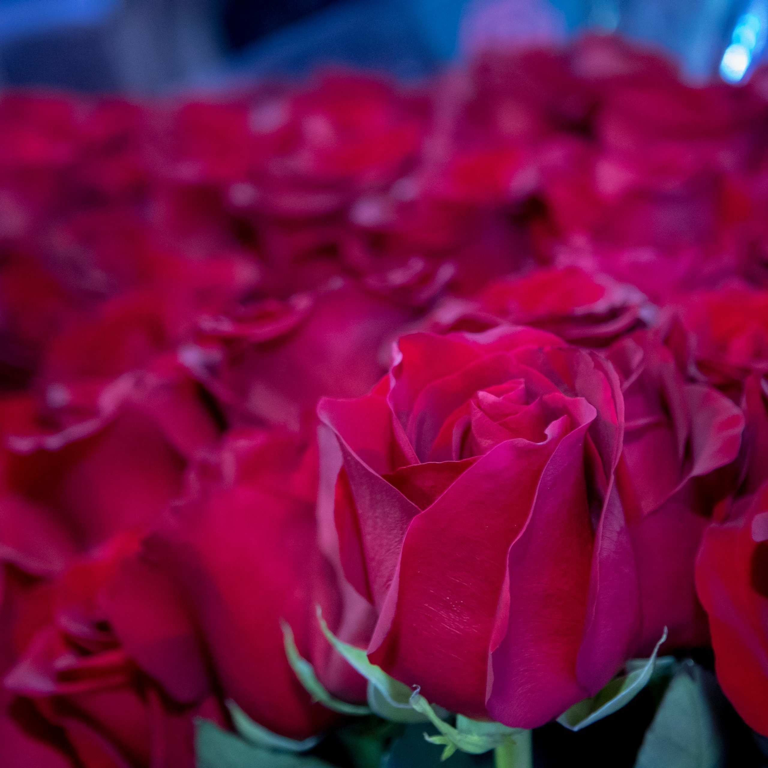 Отзывы. Фотограф в Иркутске