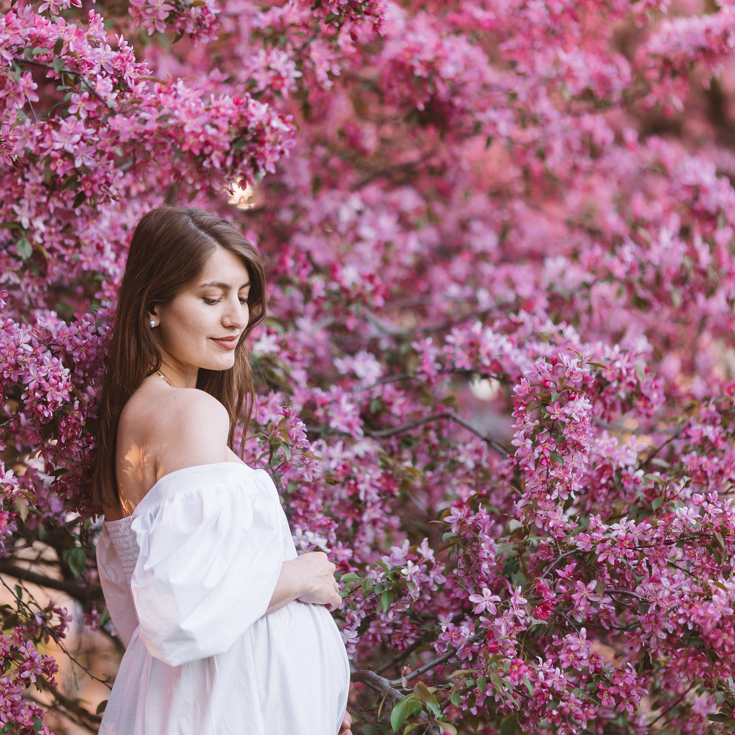 Цветение яблонь (Май)